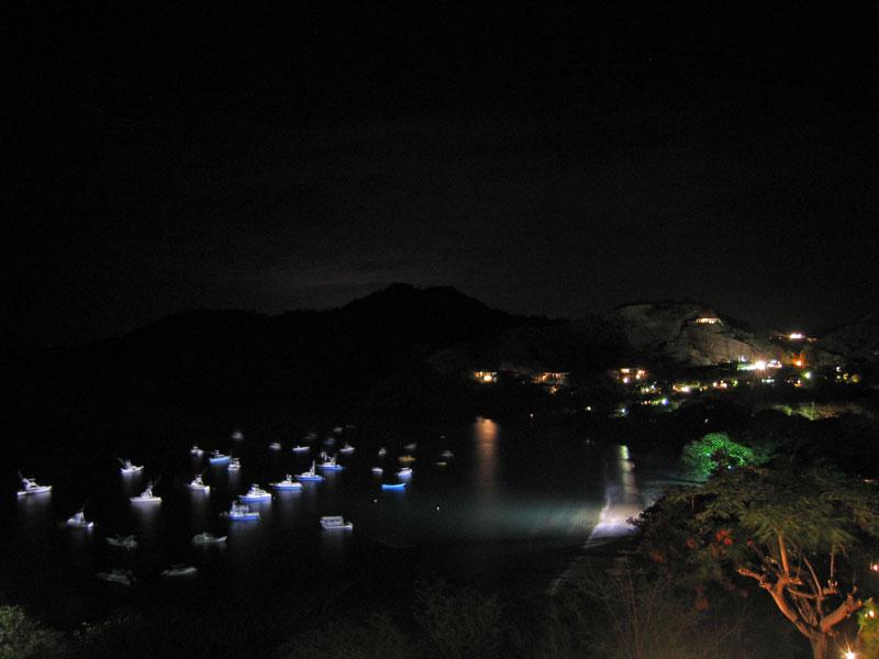Marina at Night