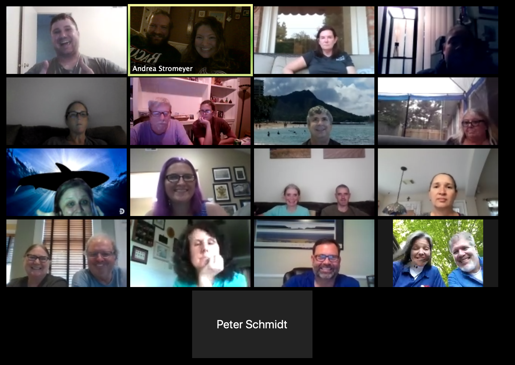 May 2020: The Care and Keeping of Whale Sharks