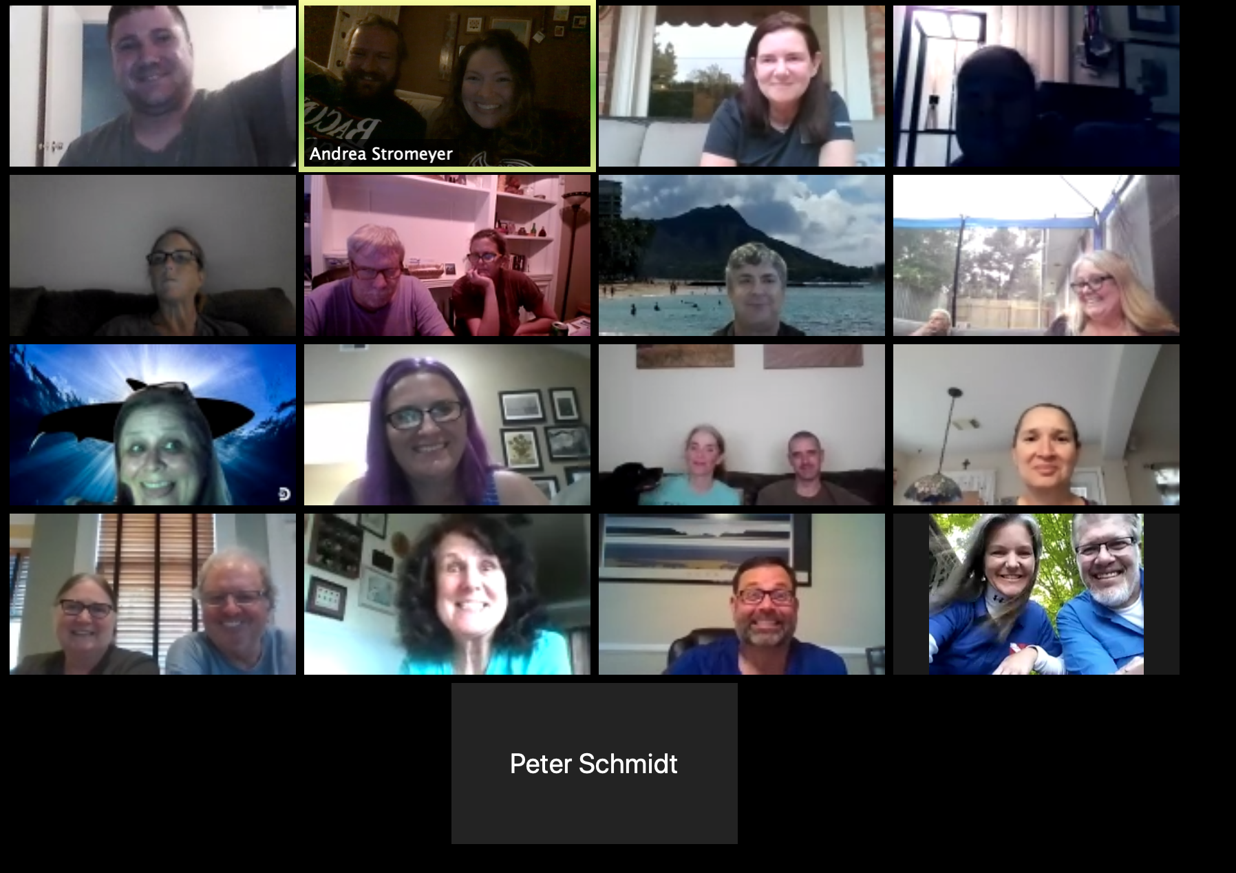 May 2020: The Care and Keeping of Whale Sharks