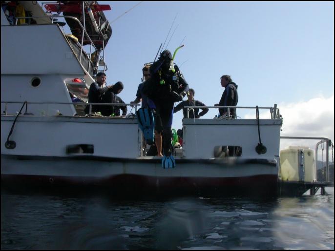 McLot with a Giant Stride