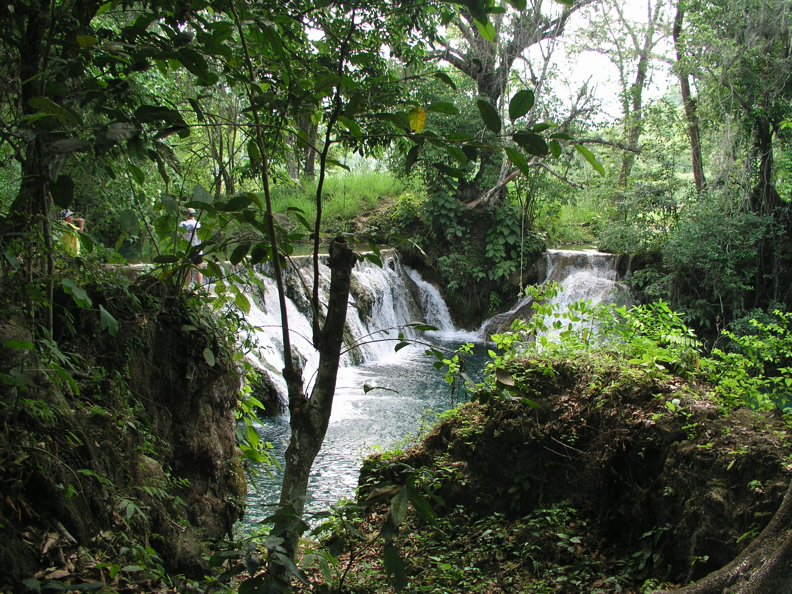 Media Luna 2005 reupload