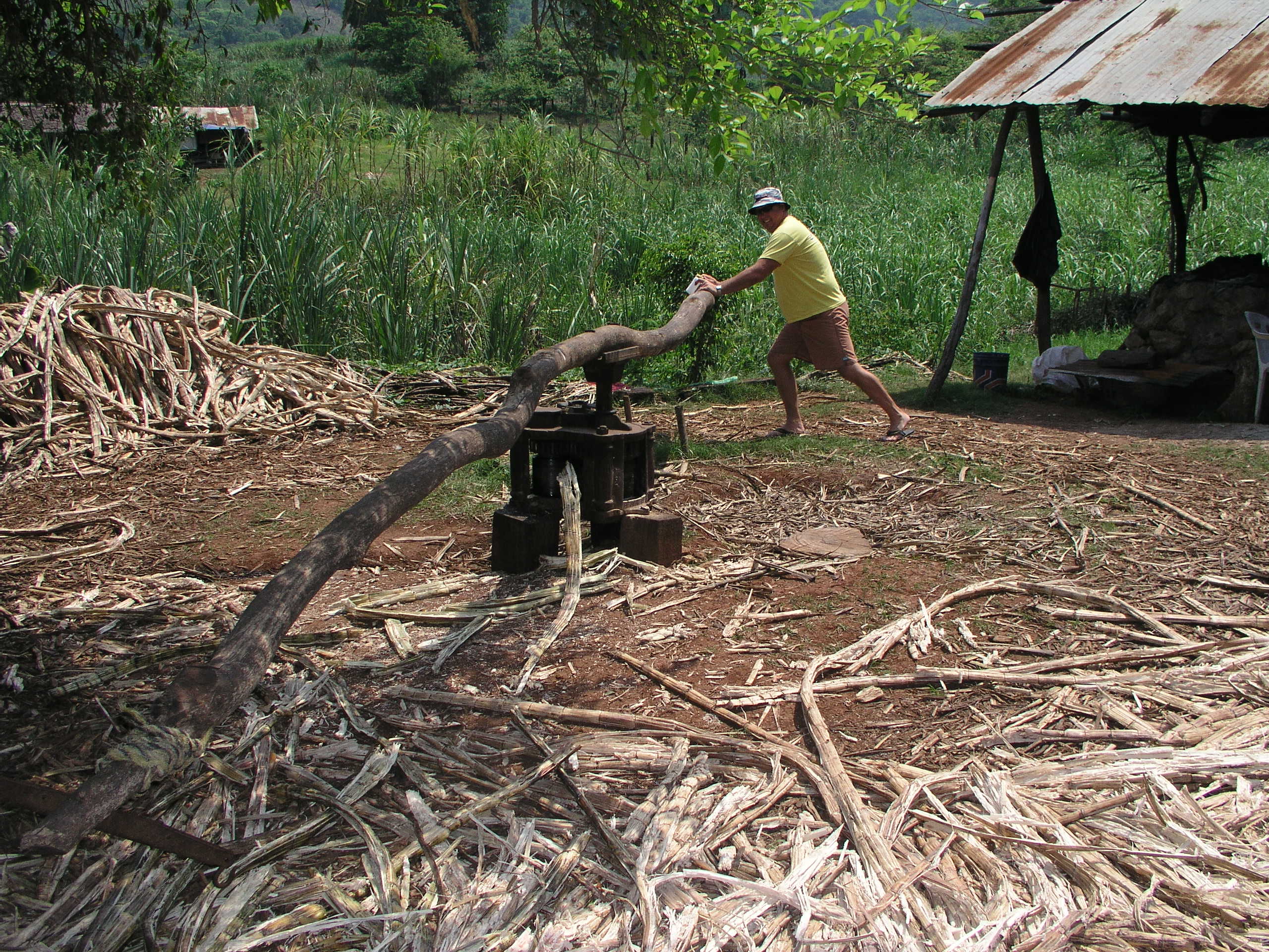 Media Luna 2005 reupload