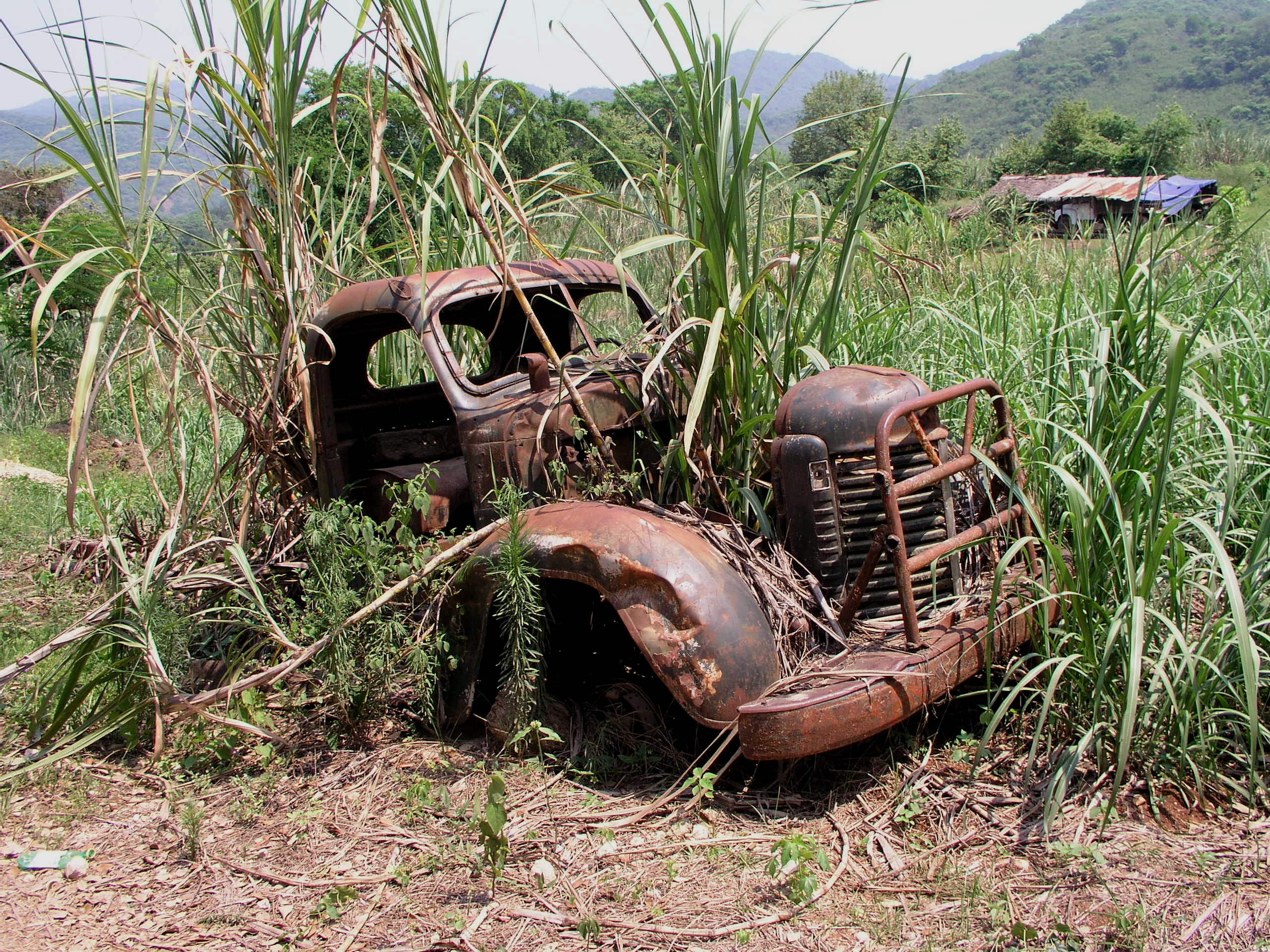 Media Luna 2005 reupload