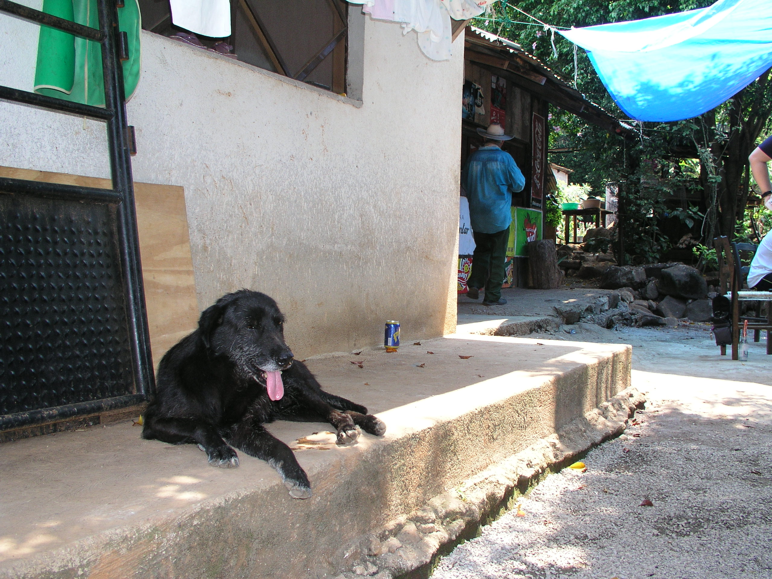 Media Luna 2005 reupload