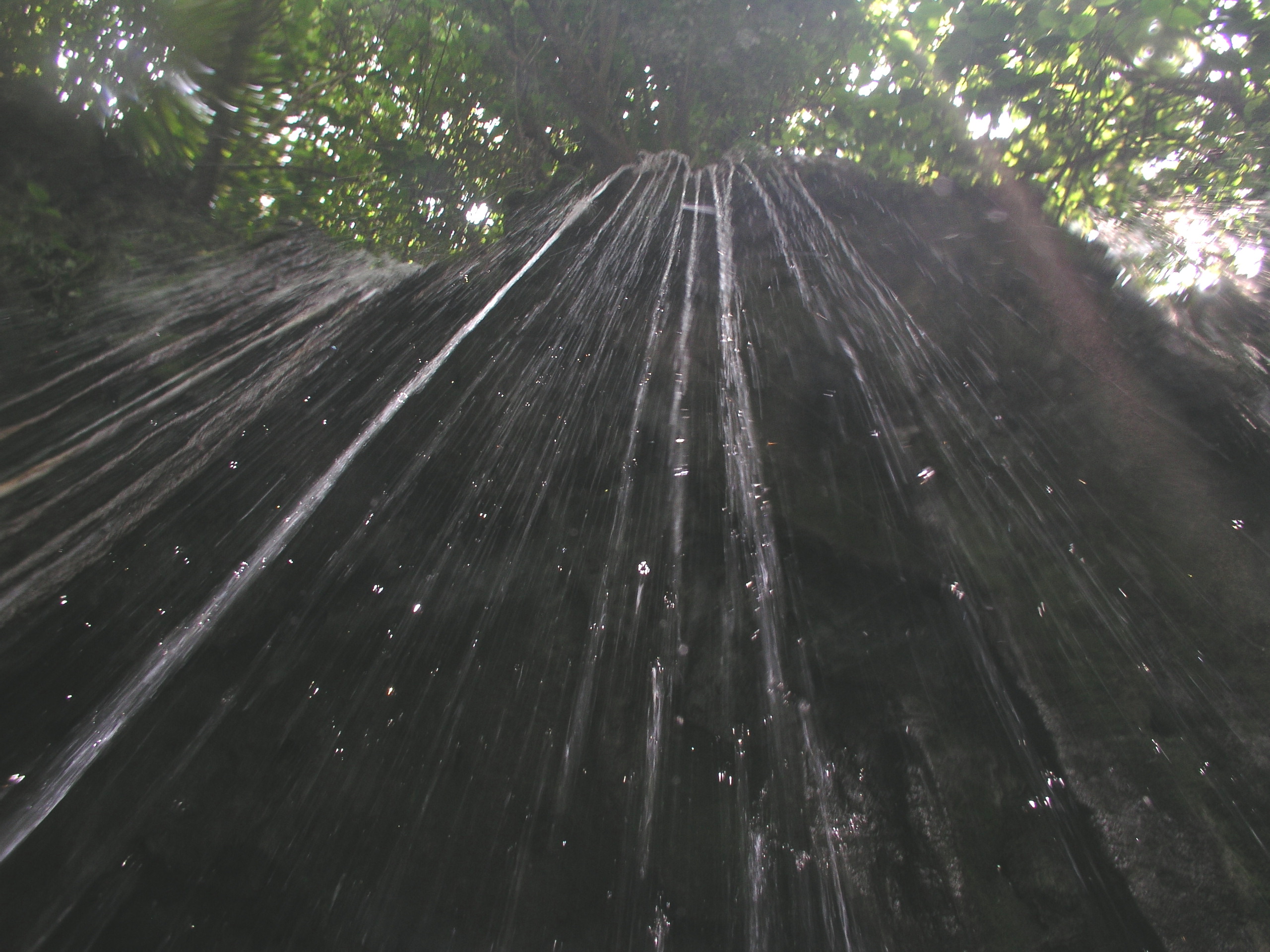 Media Luna 2005 reupload