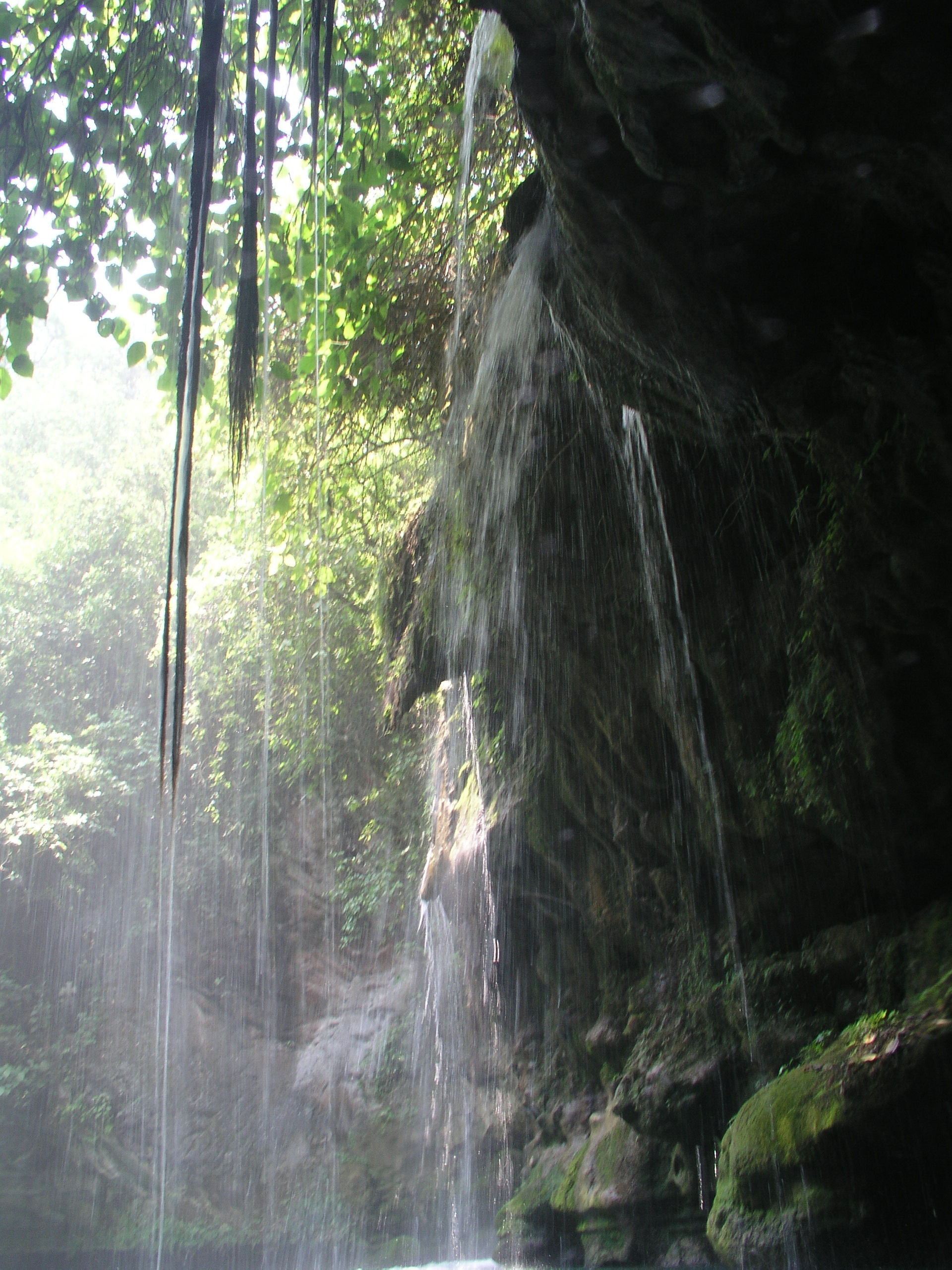 Media Luna 2005 reupload