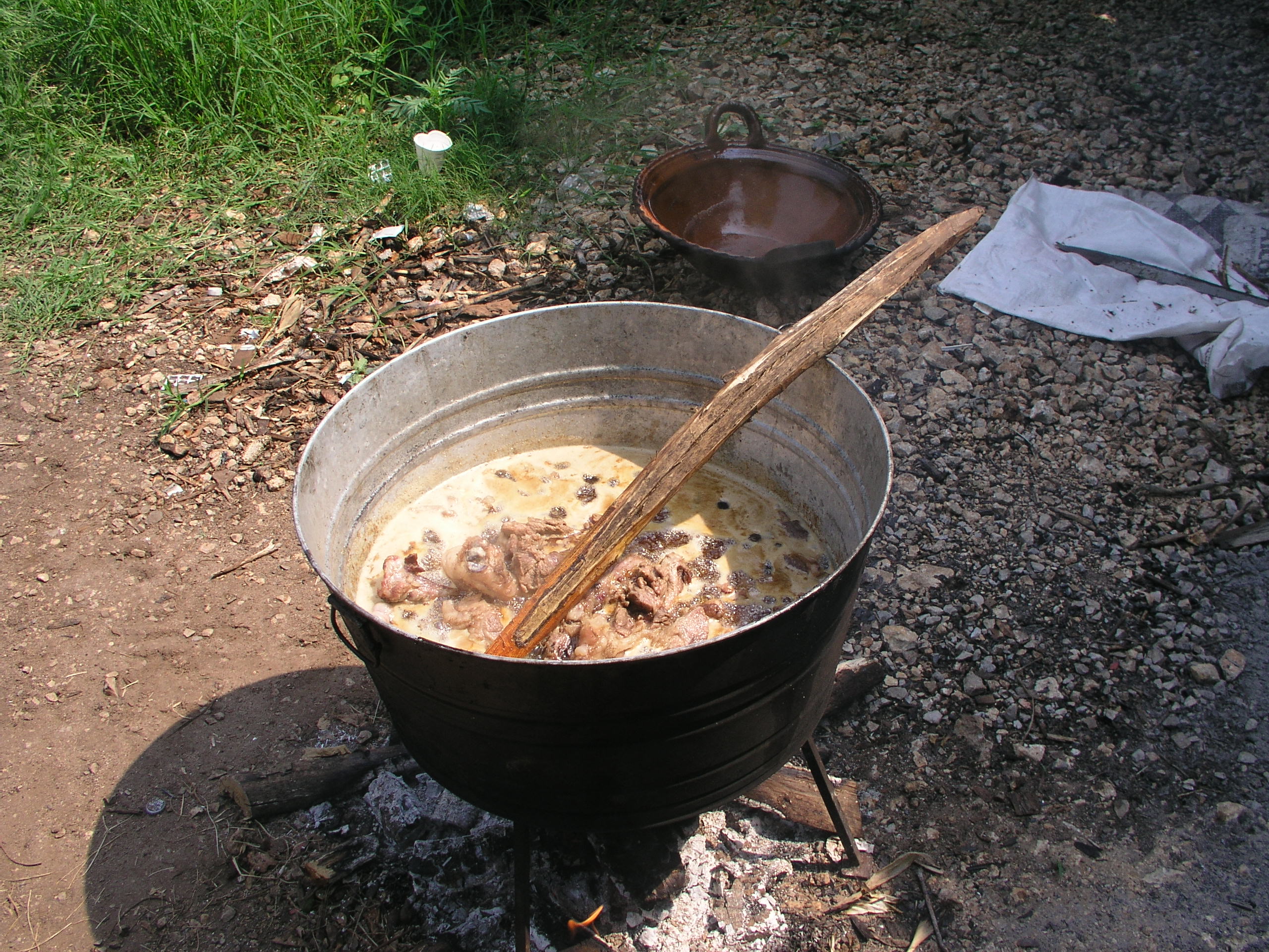 Media Luna 2005 reupload