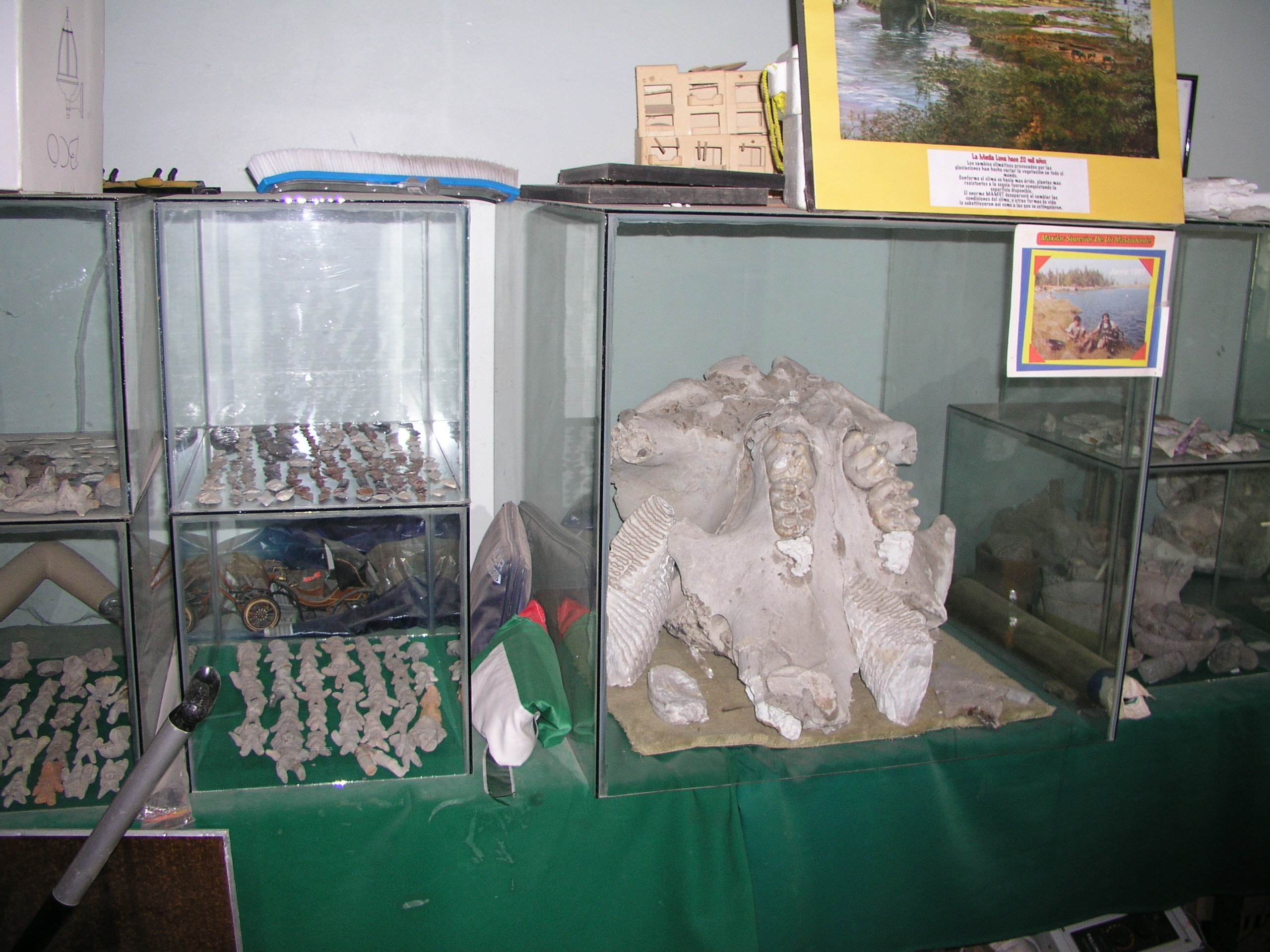 Media Luna 2005 reupload