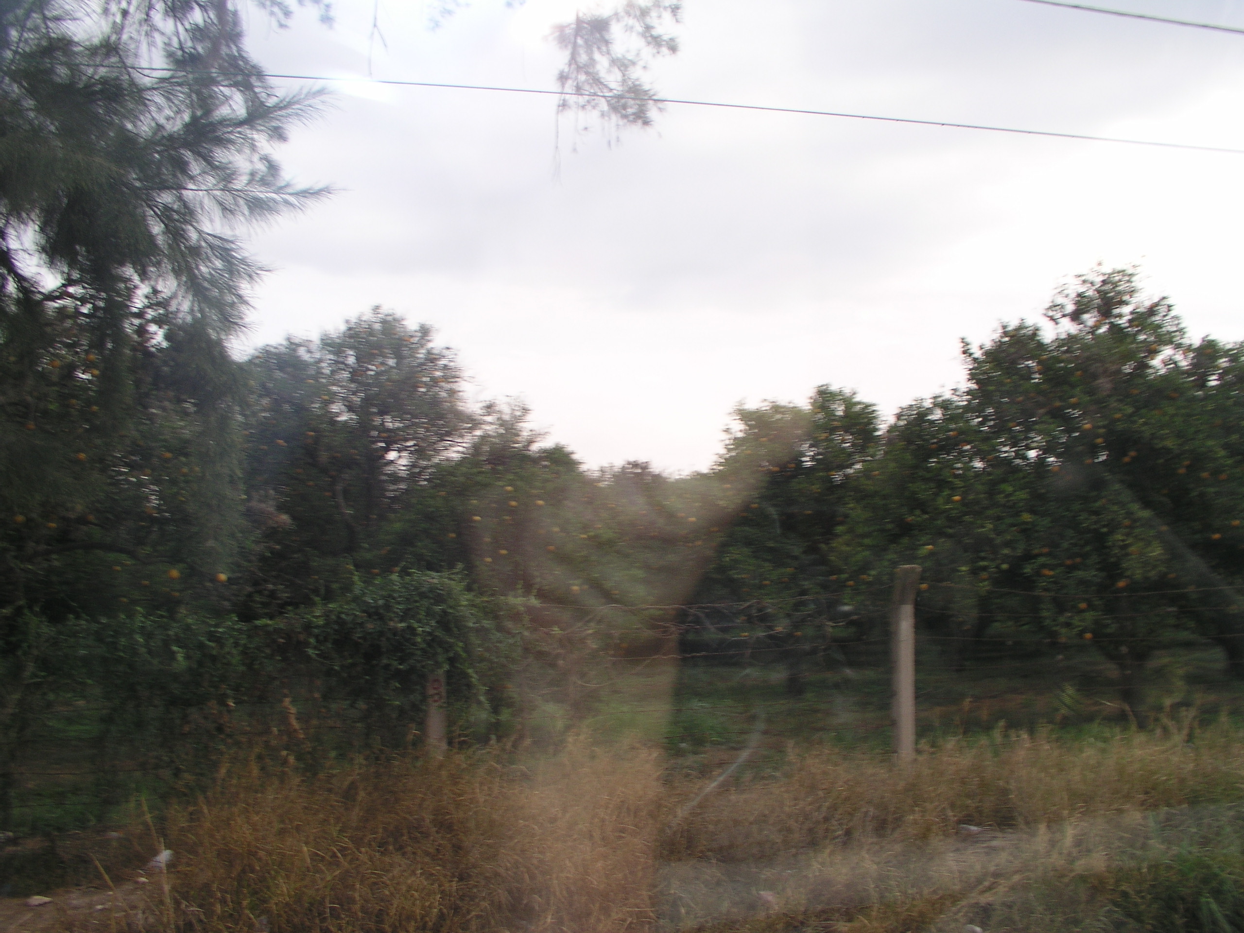 Media Luna 2005 reupload