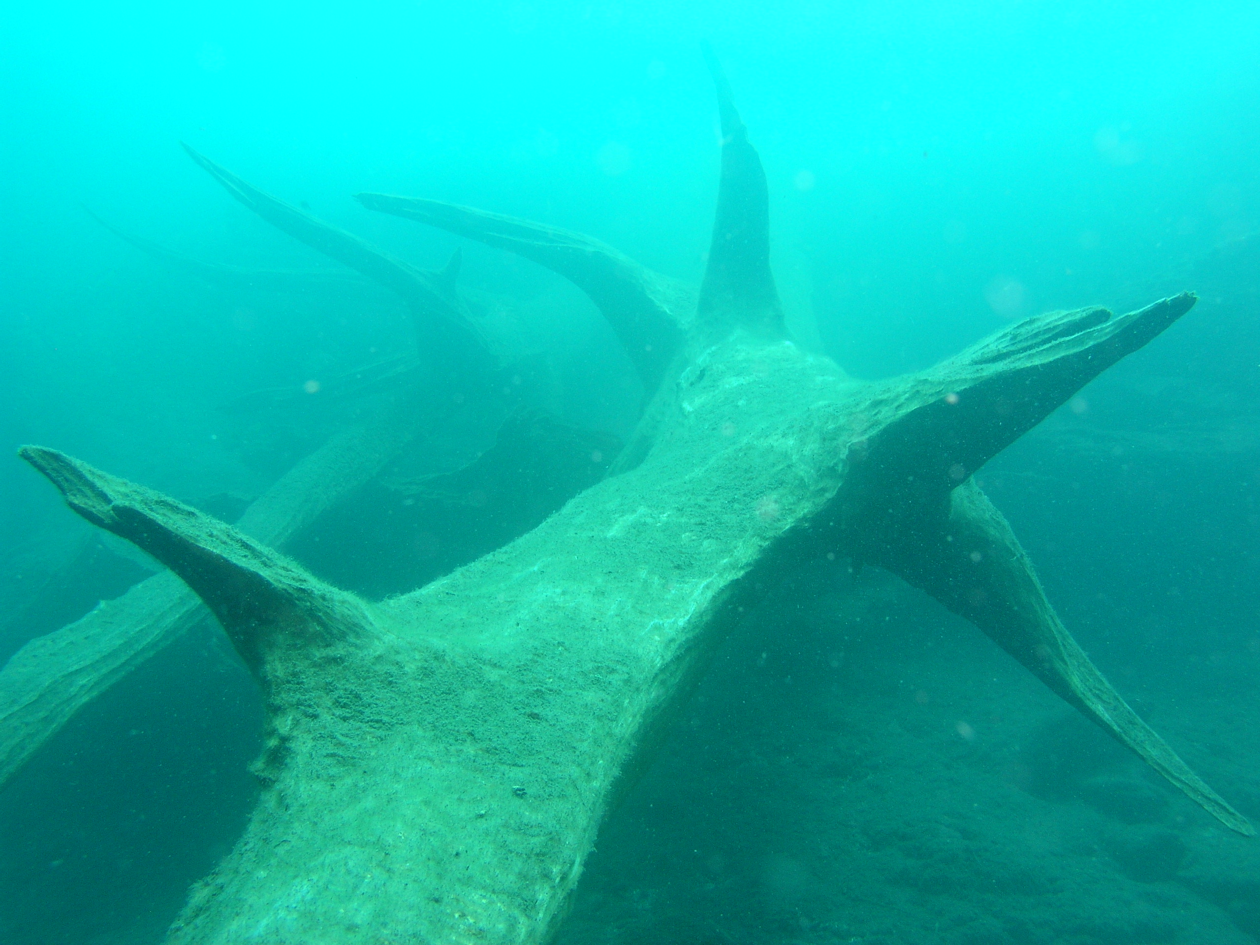 Media Luna 2005 reupload