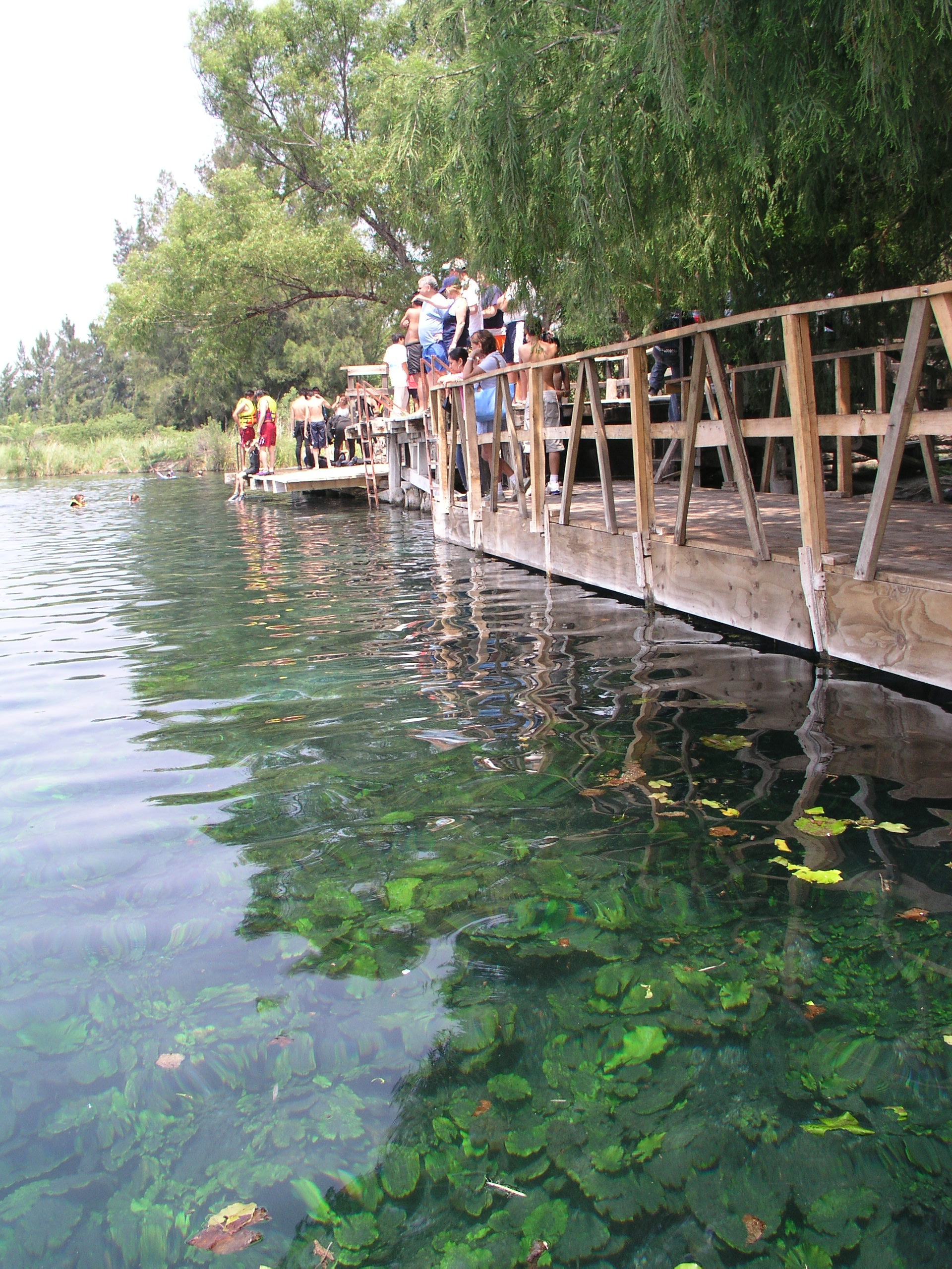 Media Luna 2005 reupload