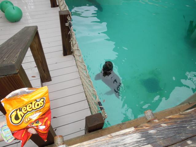 Mmmm Cheetos
