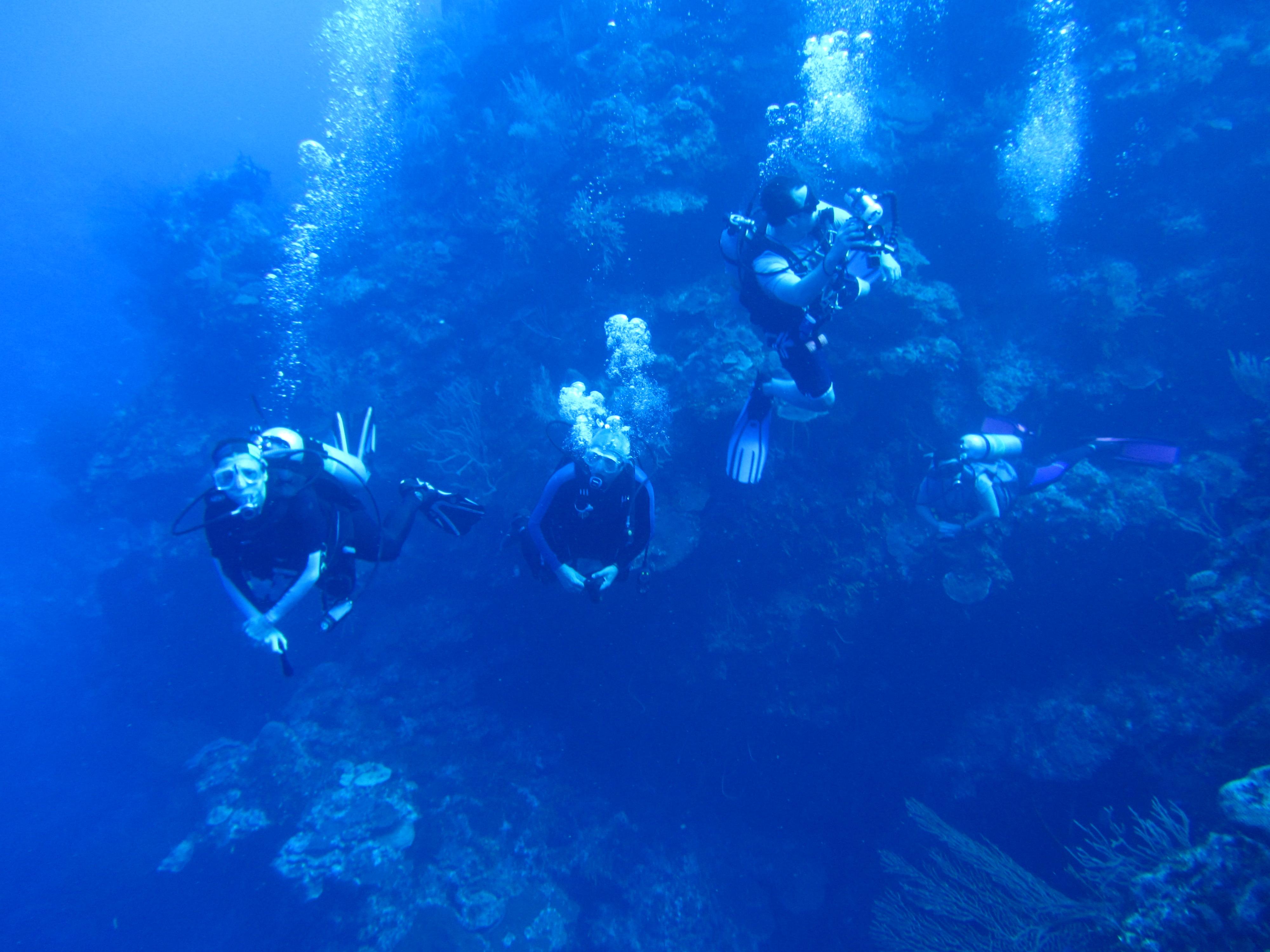 More Chum exploration