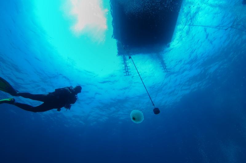 more safety stop