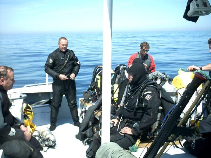 More sponges...