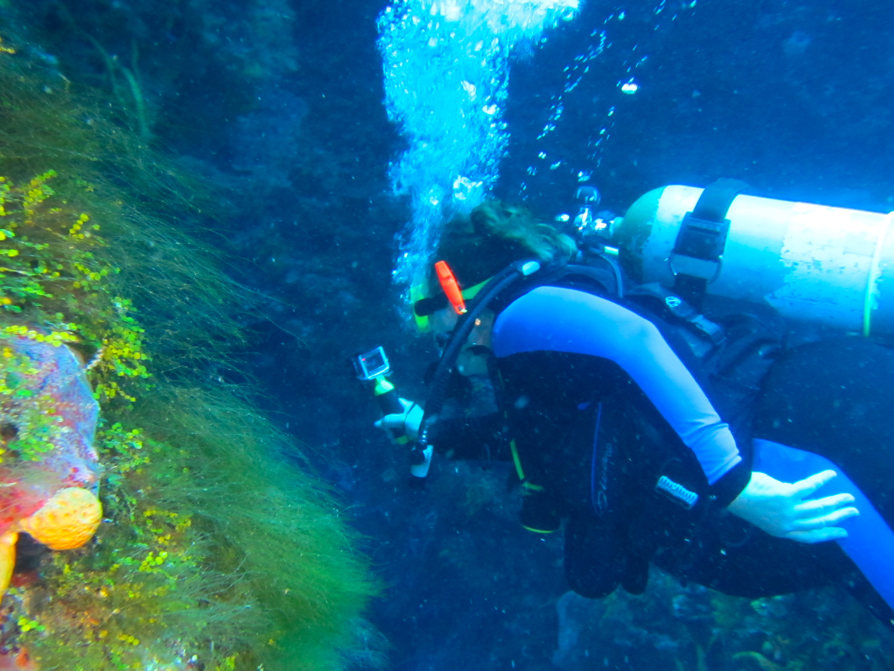 Ms KJenn Dives GoProing  6109