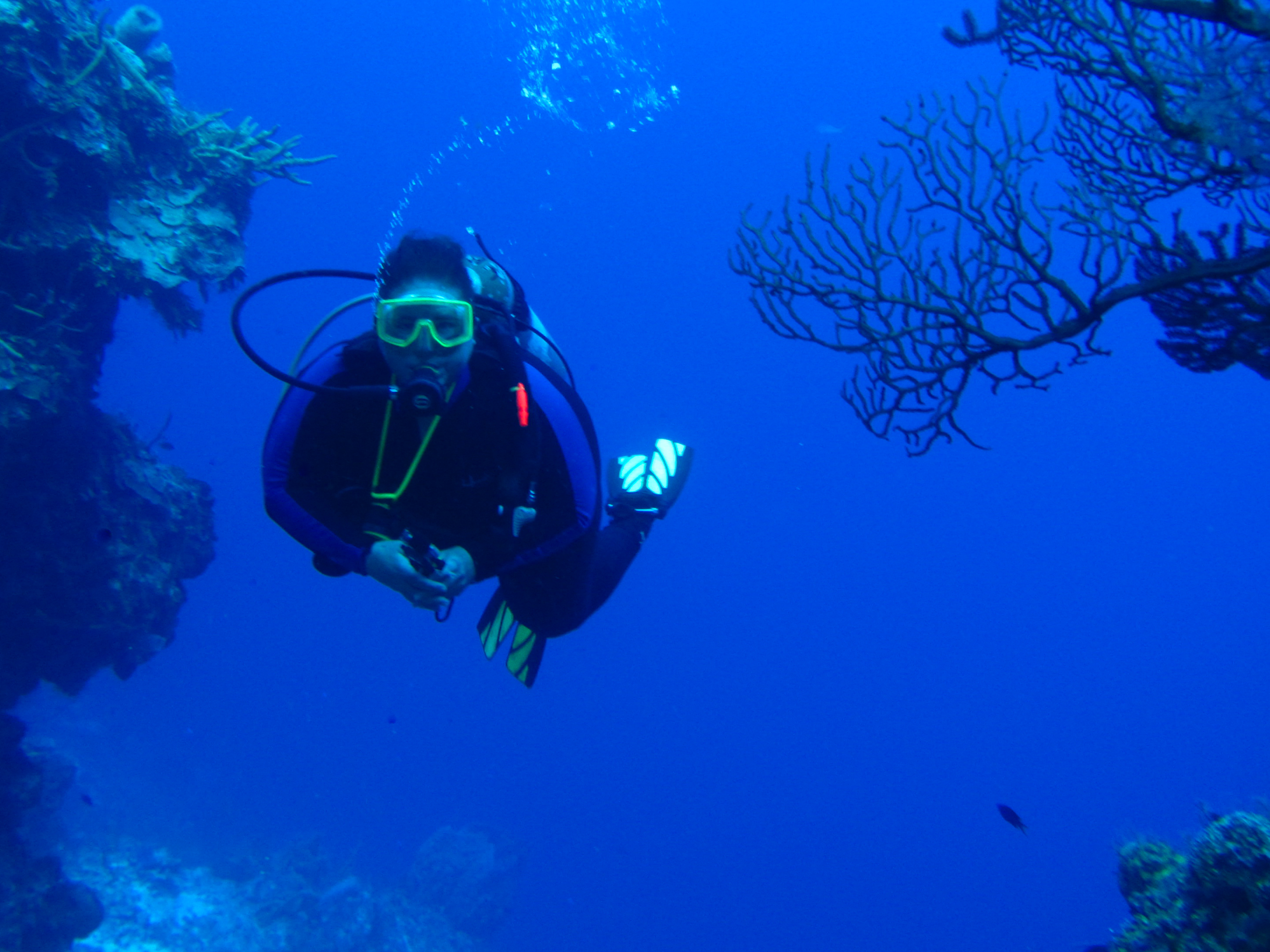 Ms KJenn Dives On Palancar Horseshoe 5841