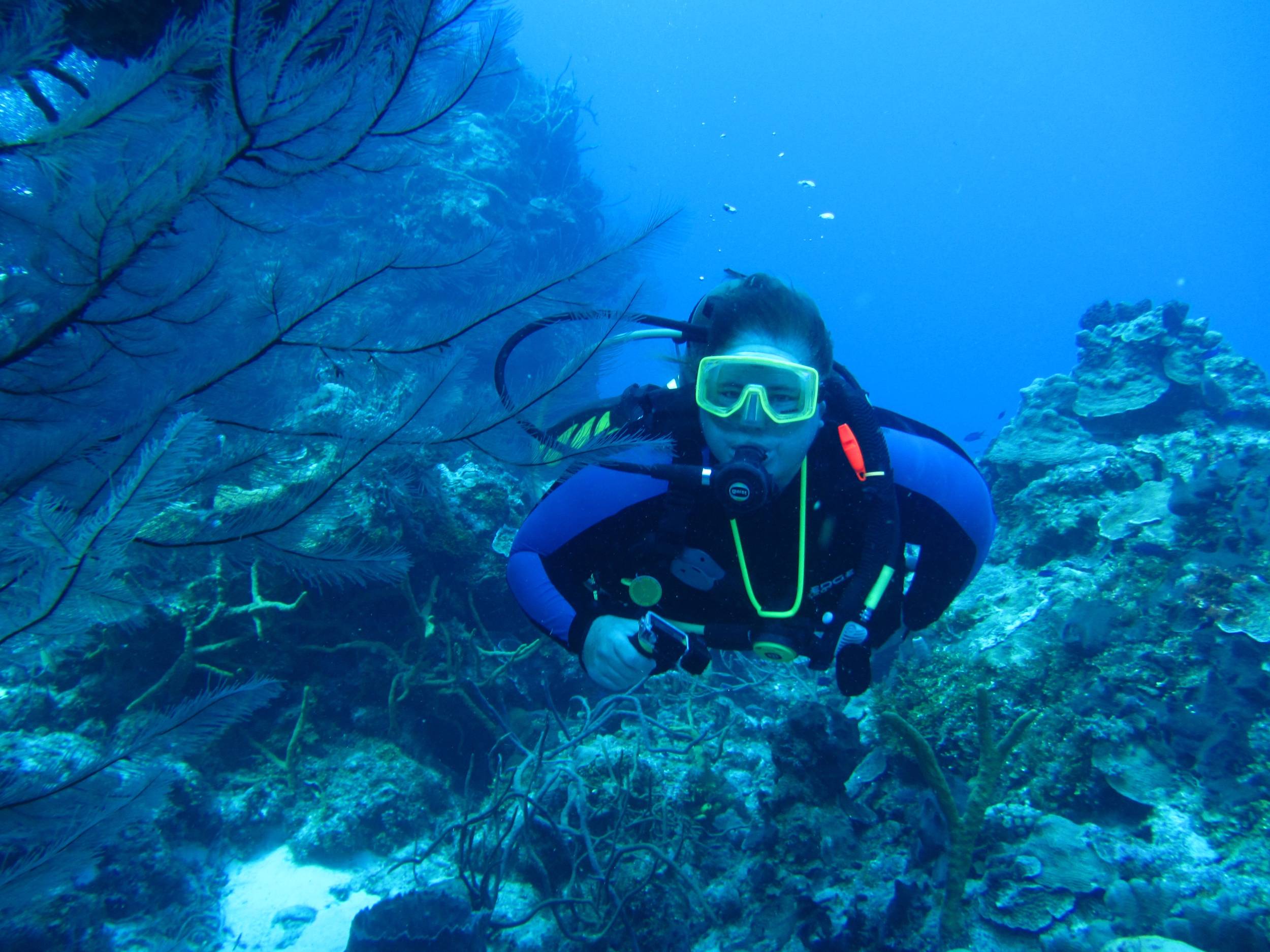 Ms KJenn Dives on Palancar