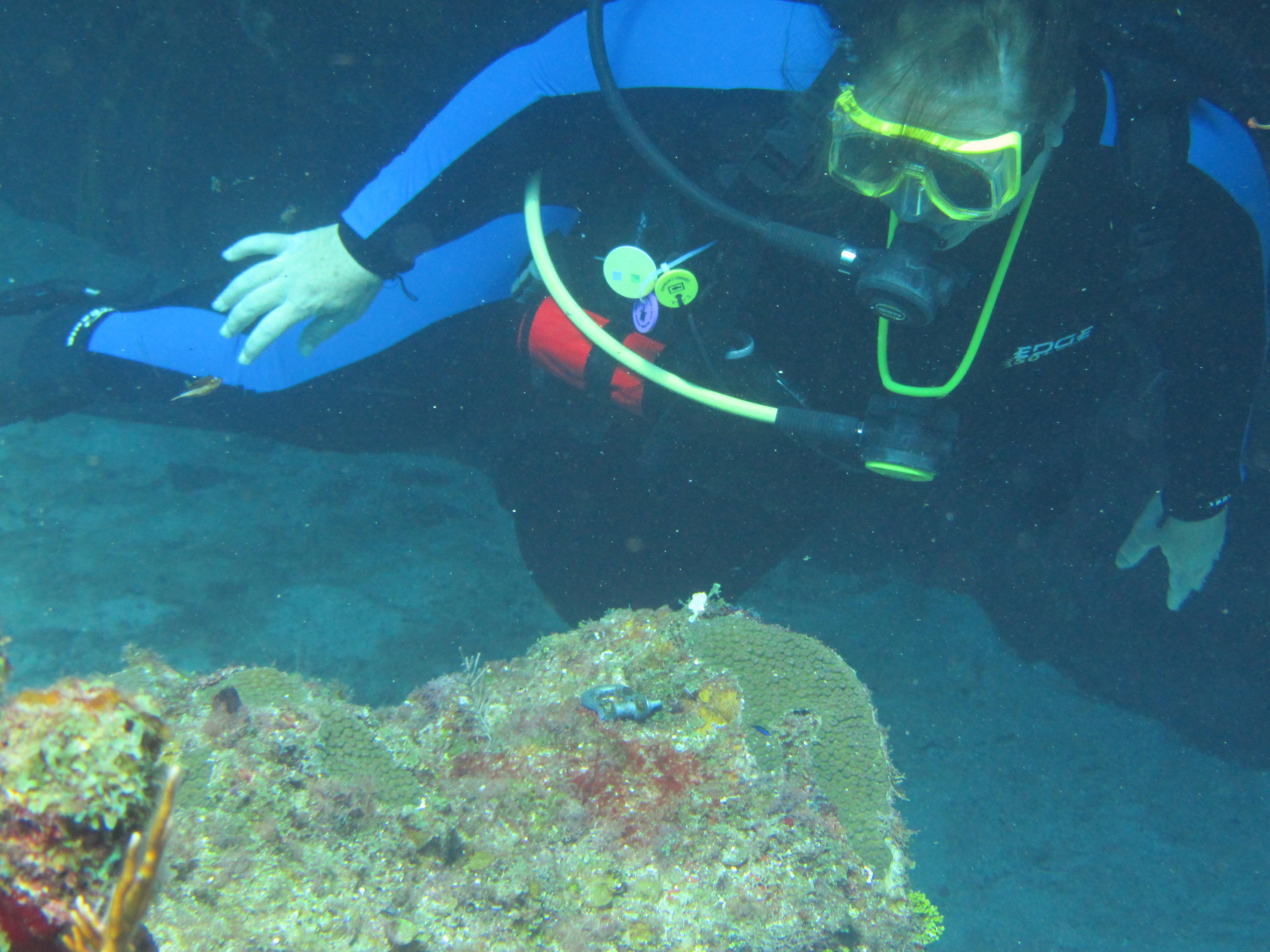 Ms KJenn Dives & White Frogfish