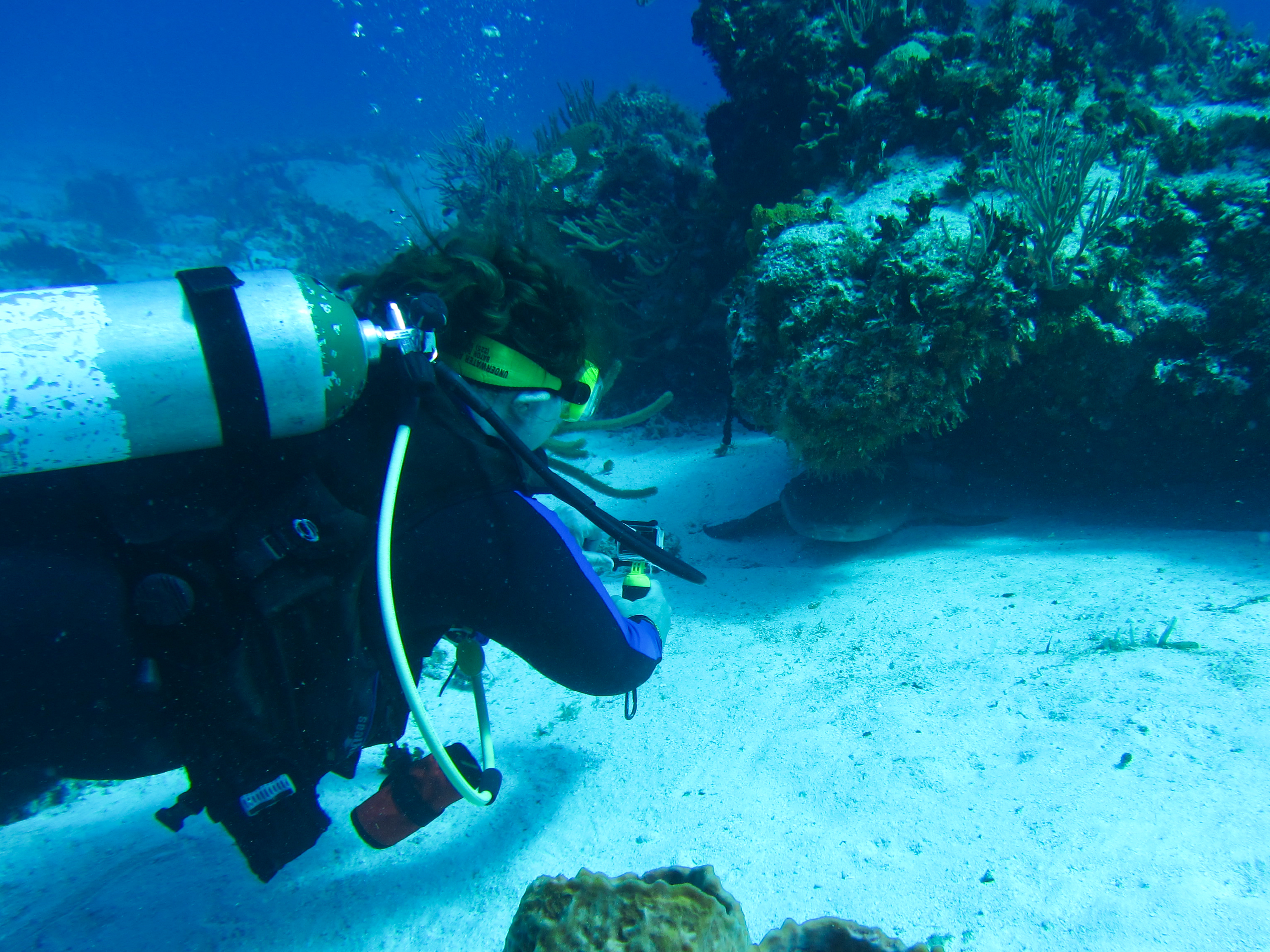 Ms KJenn Dives With Nurse Shark 5935
