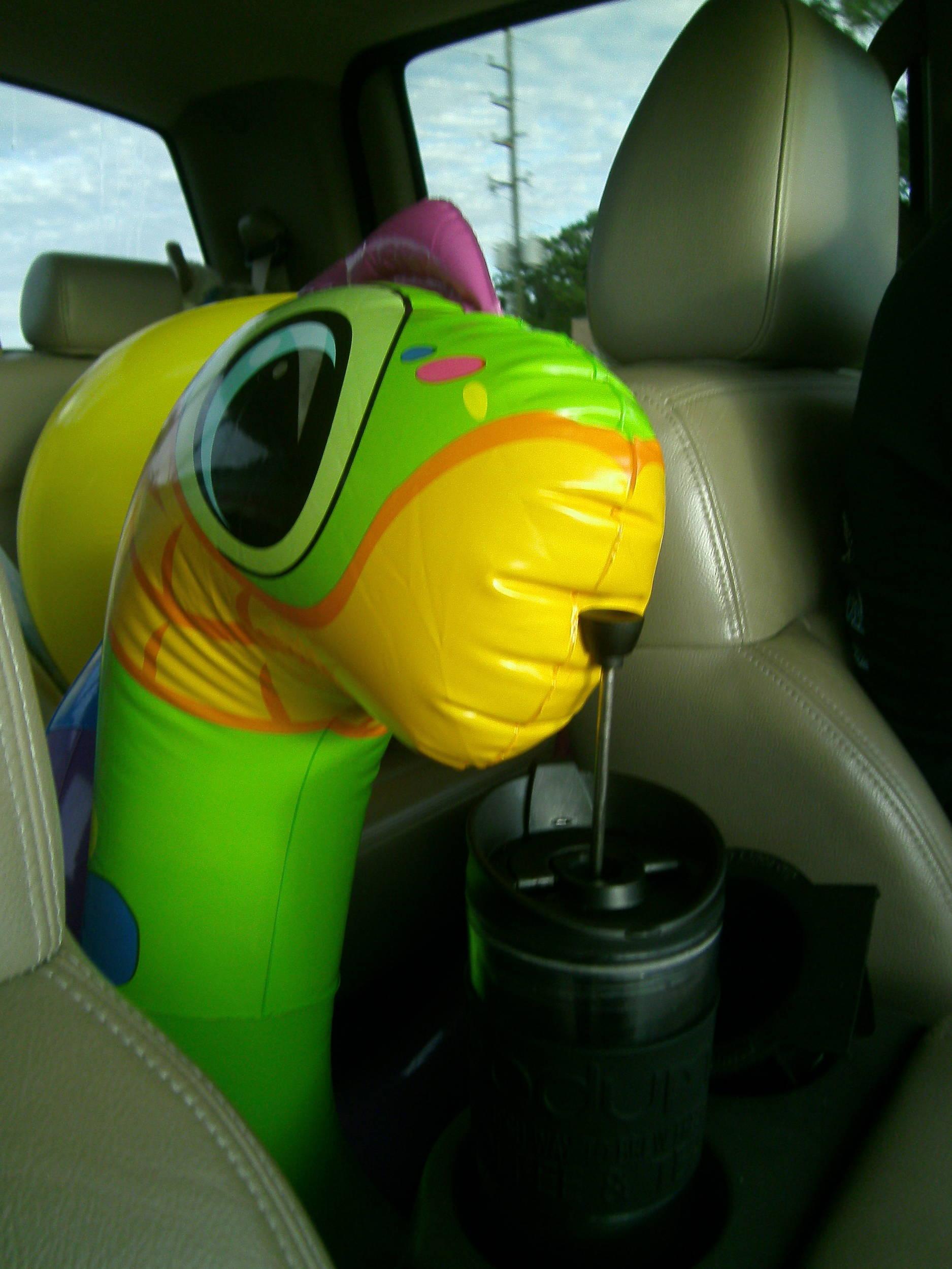 Nessie  getting her caffeine fix on the way to the treasure hit