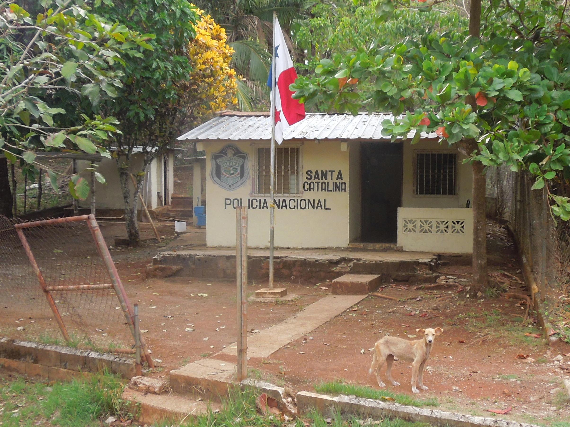 next door to the shop