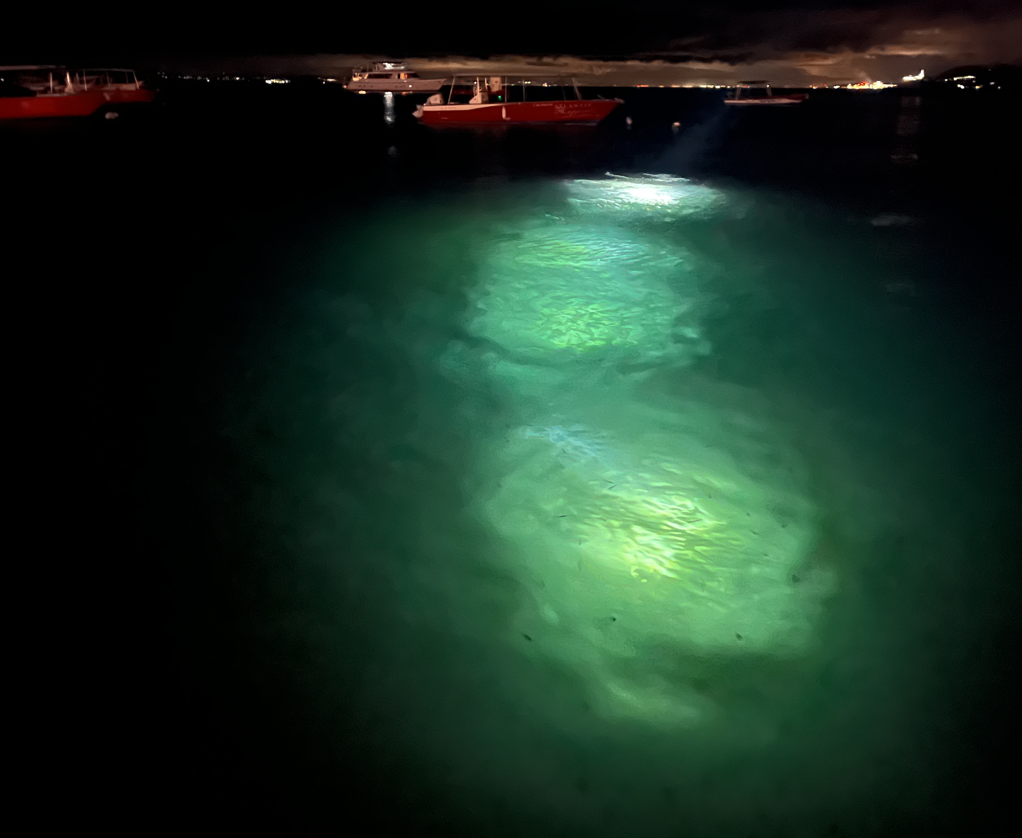 Night dive as seen from Bikini Bar