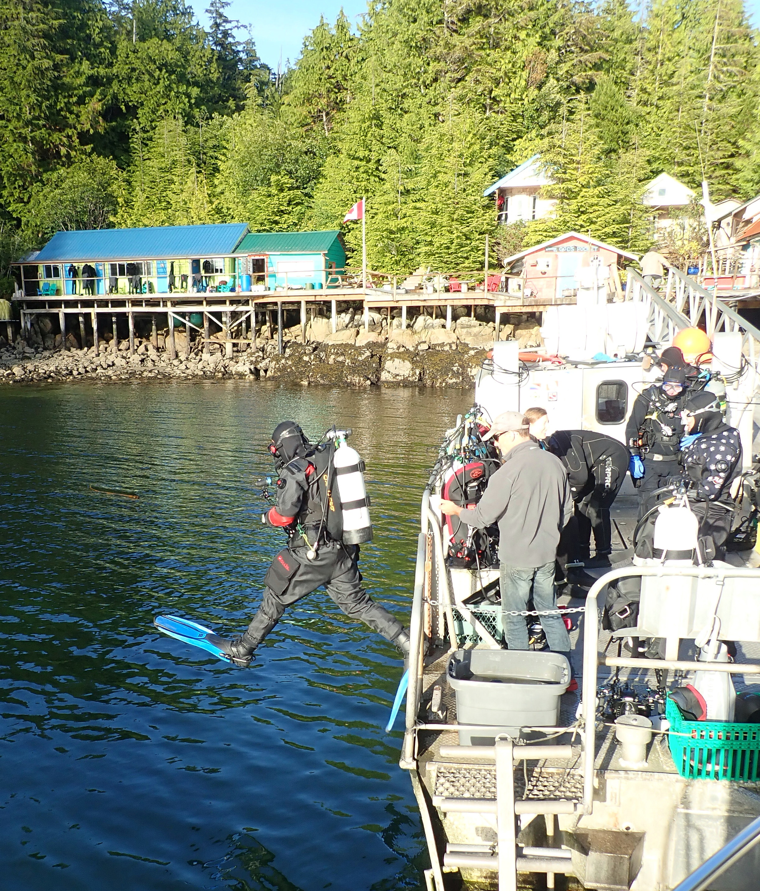 "night" dive
