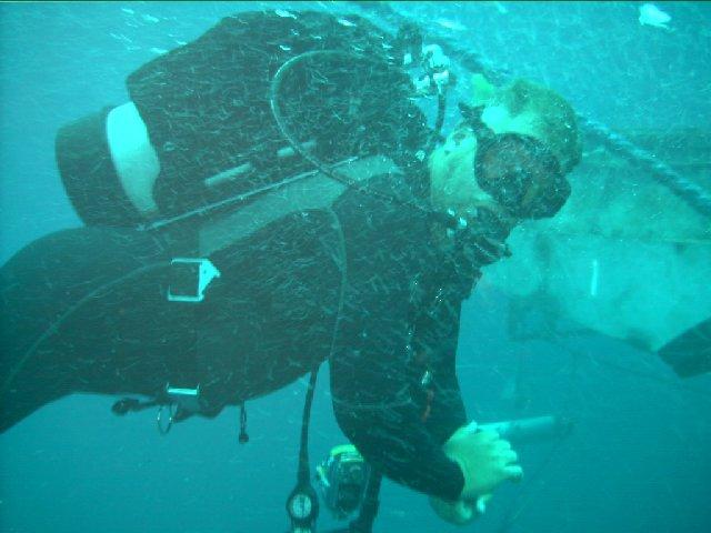 No, we didn't eat them