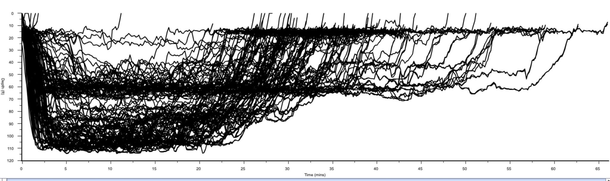 North Carolina dive profile