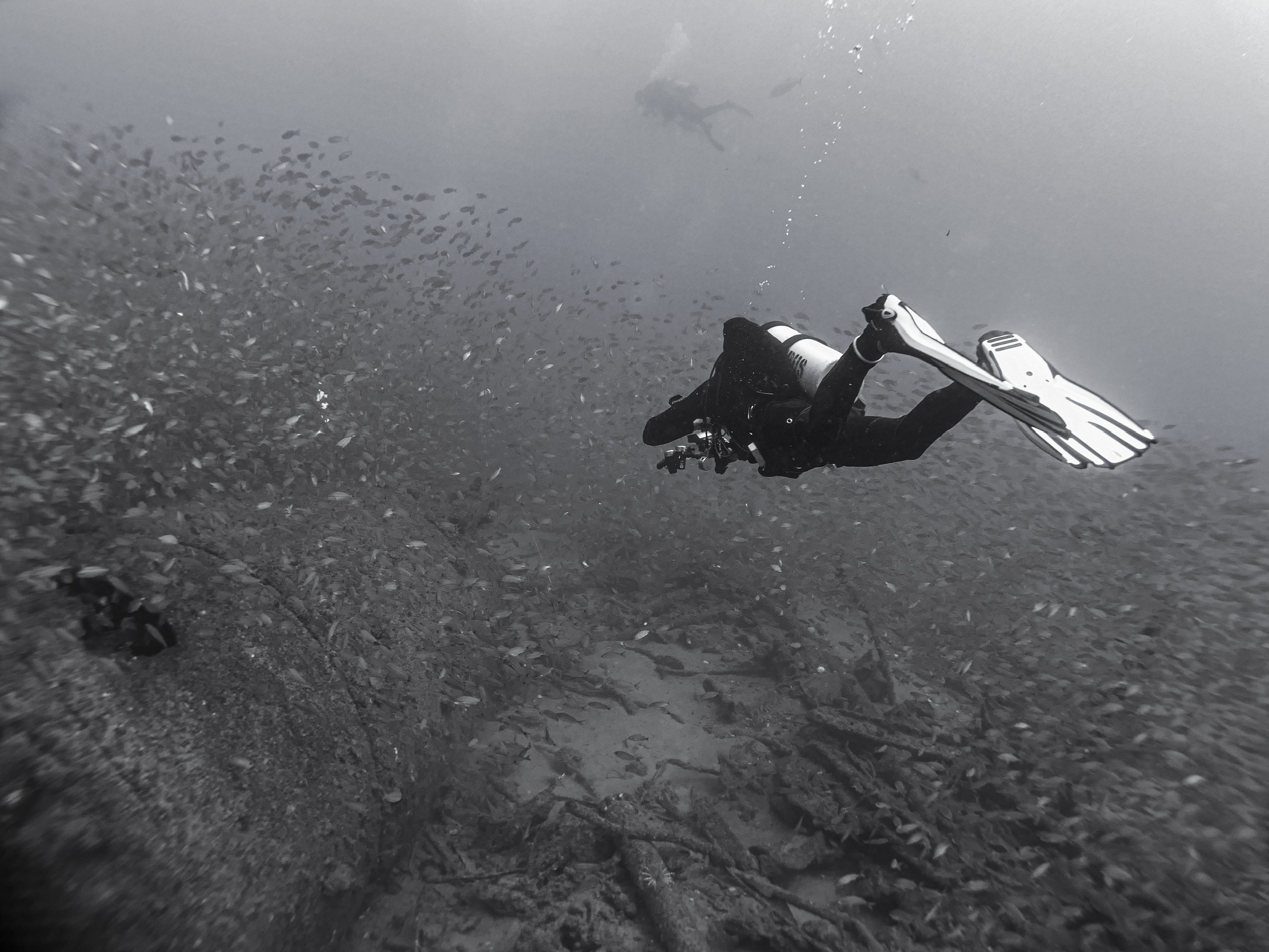 North Carolina wrecks