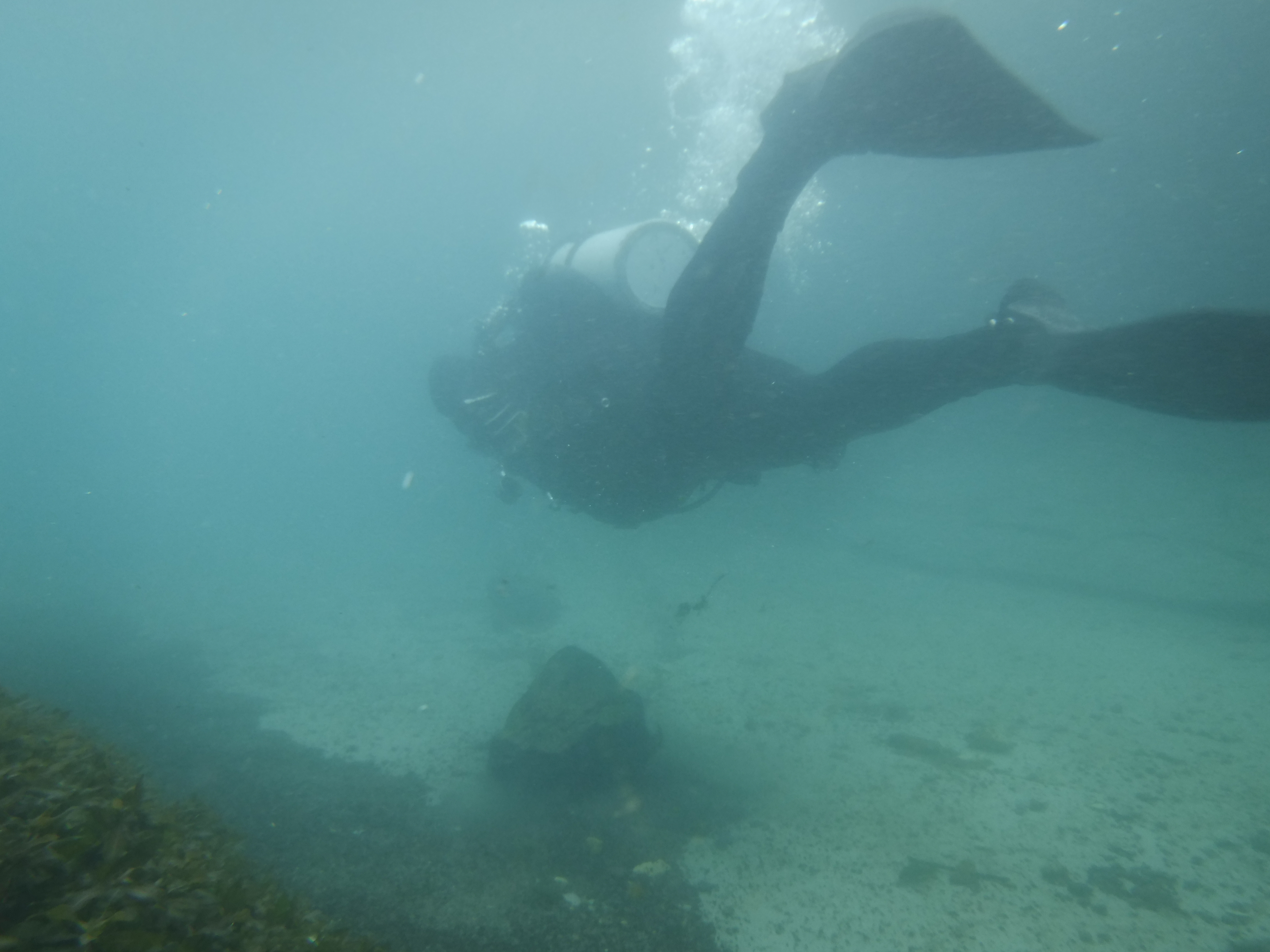 Not LakeDiver - MAR Comal