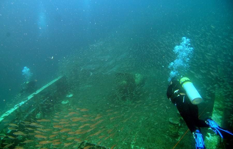 Not many fish at the Aeolus then?