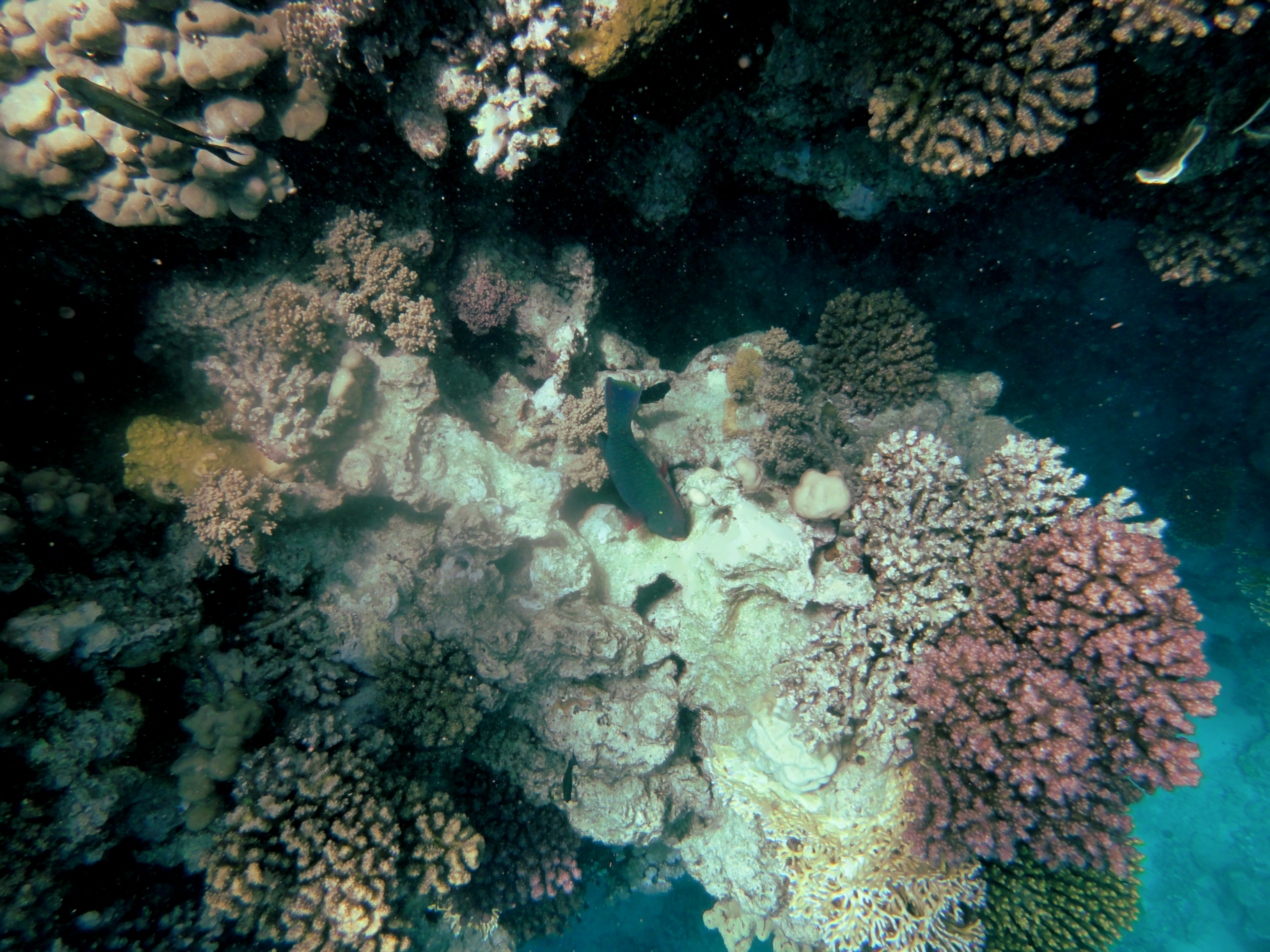 Not sure what this guy is