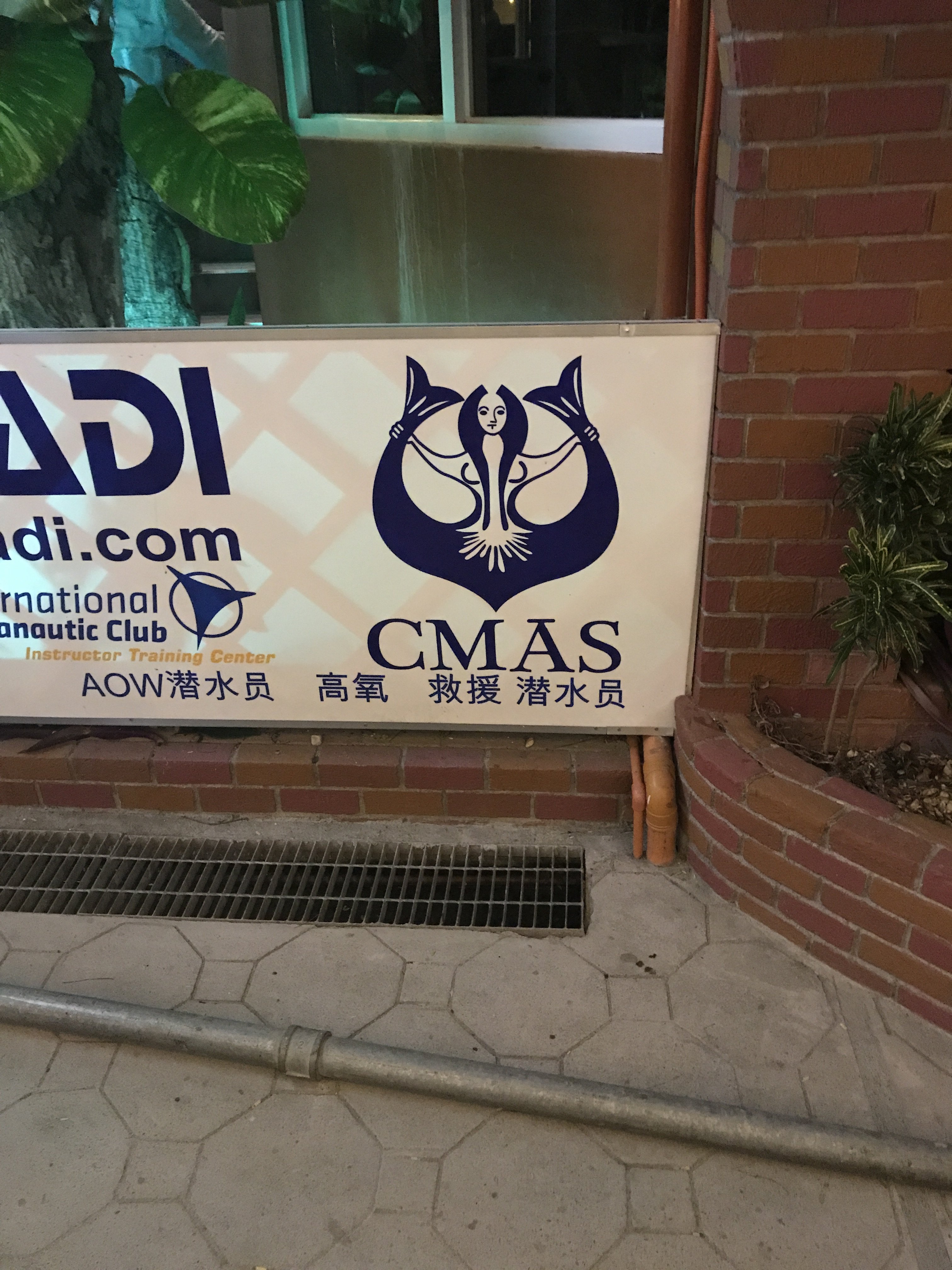 Not sure why, but I really want to get a CMAS certification now...