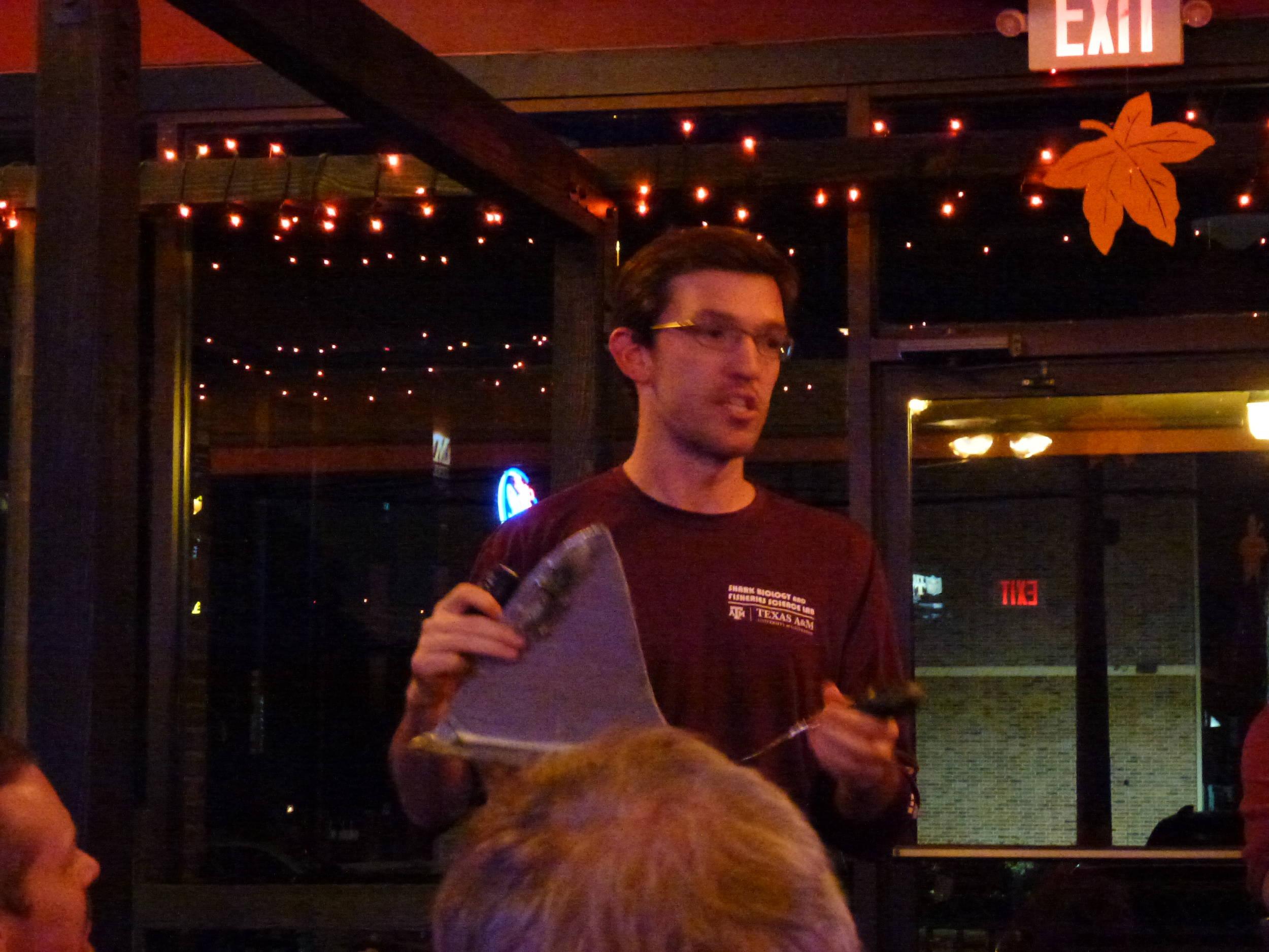 November 2015 - the pitiful fin