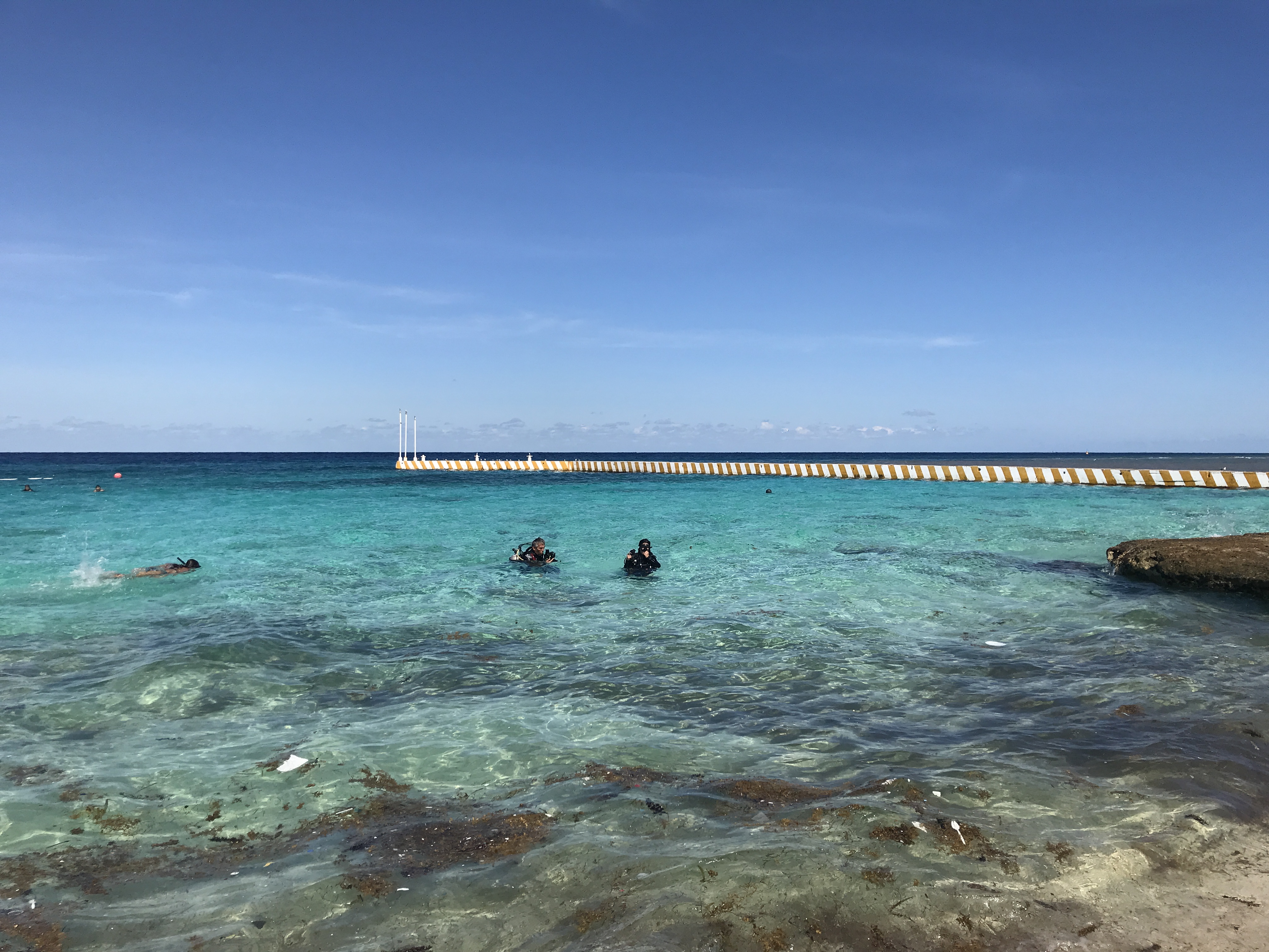 O/W shore dives