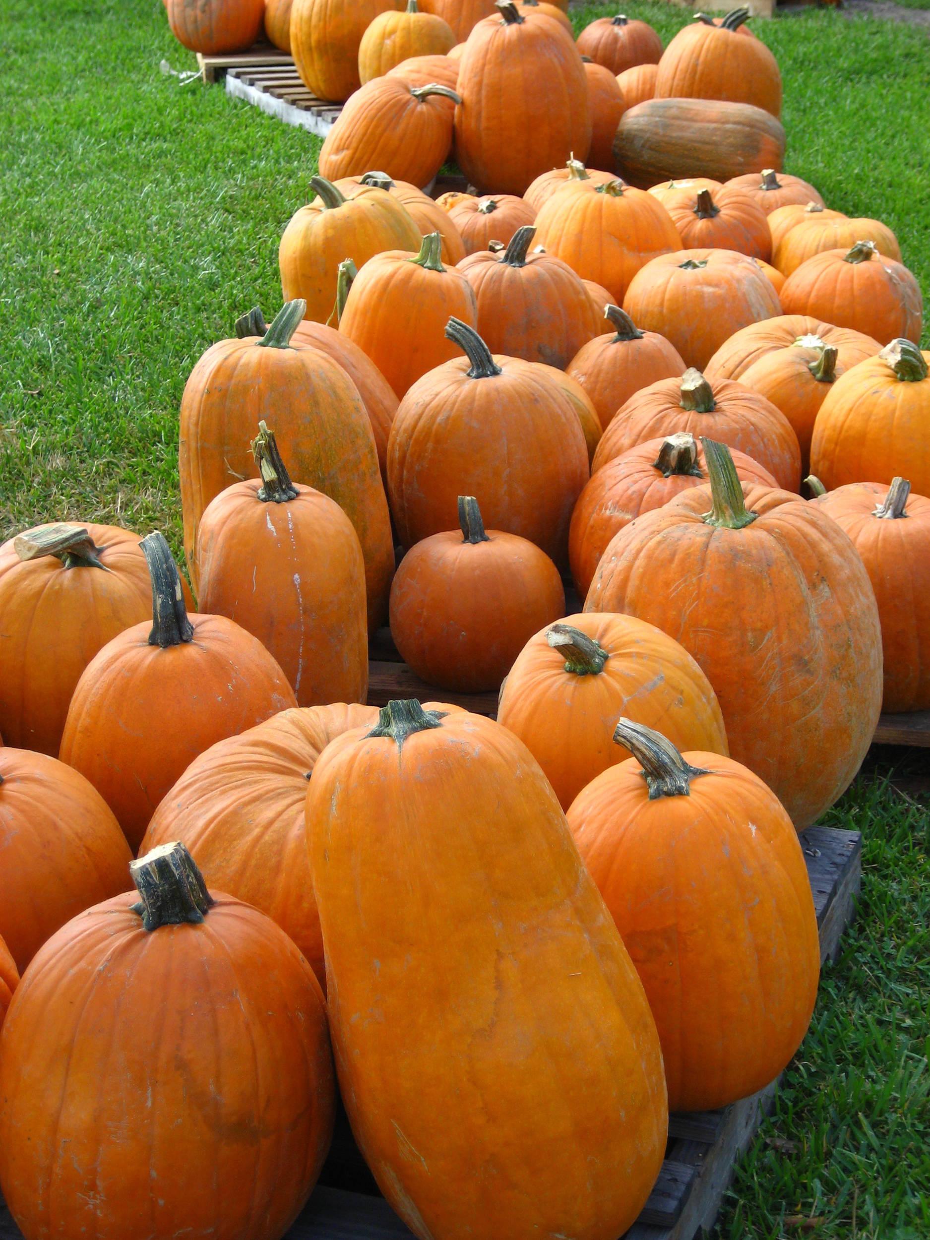 October
