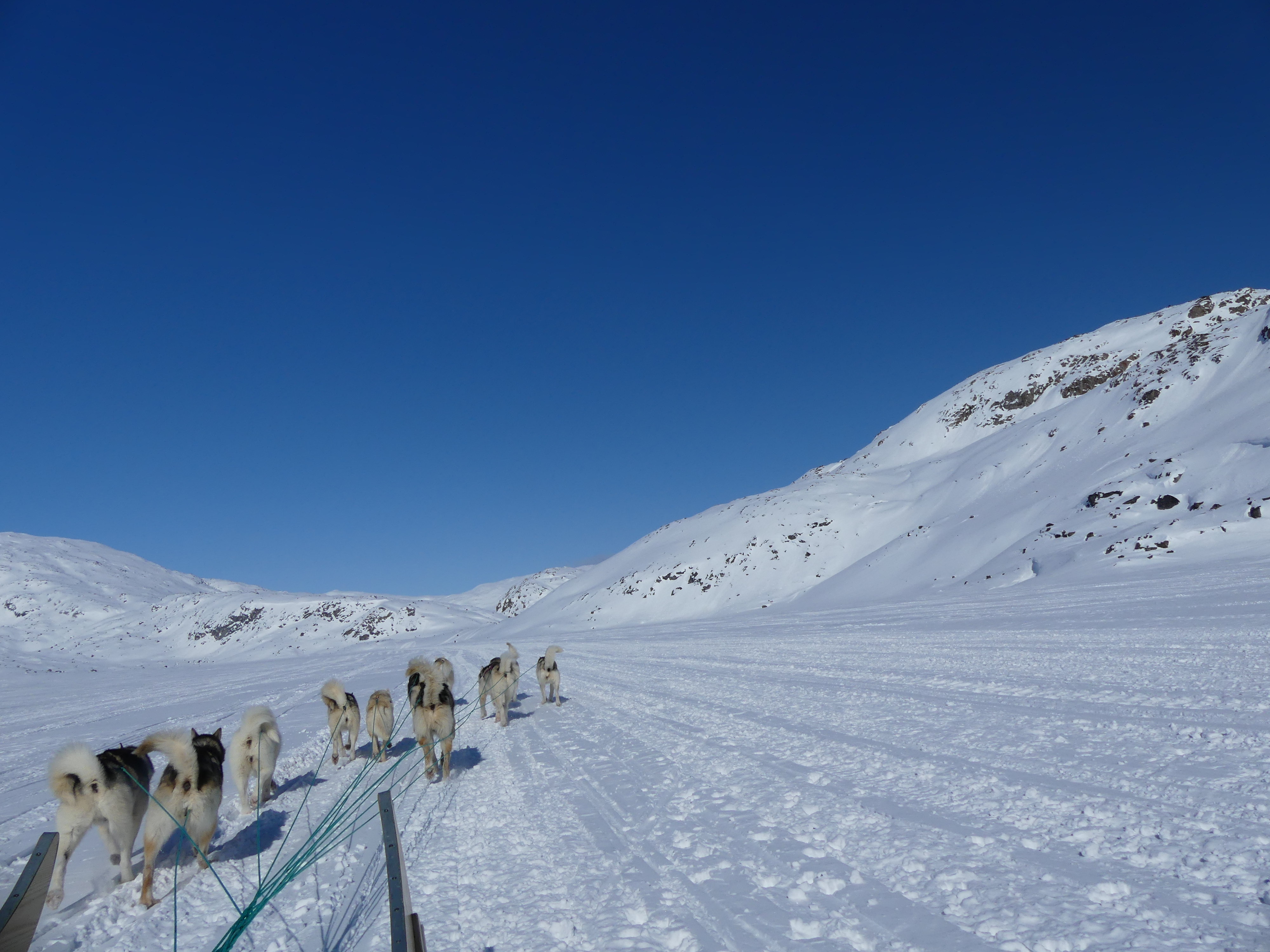 Off into the wide blue and white yonder