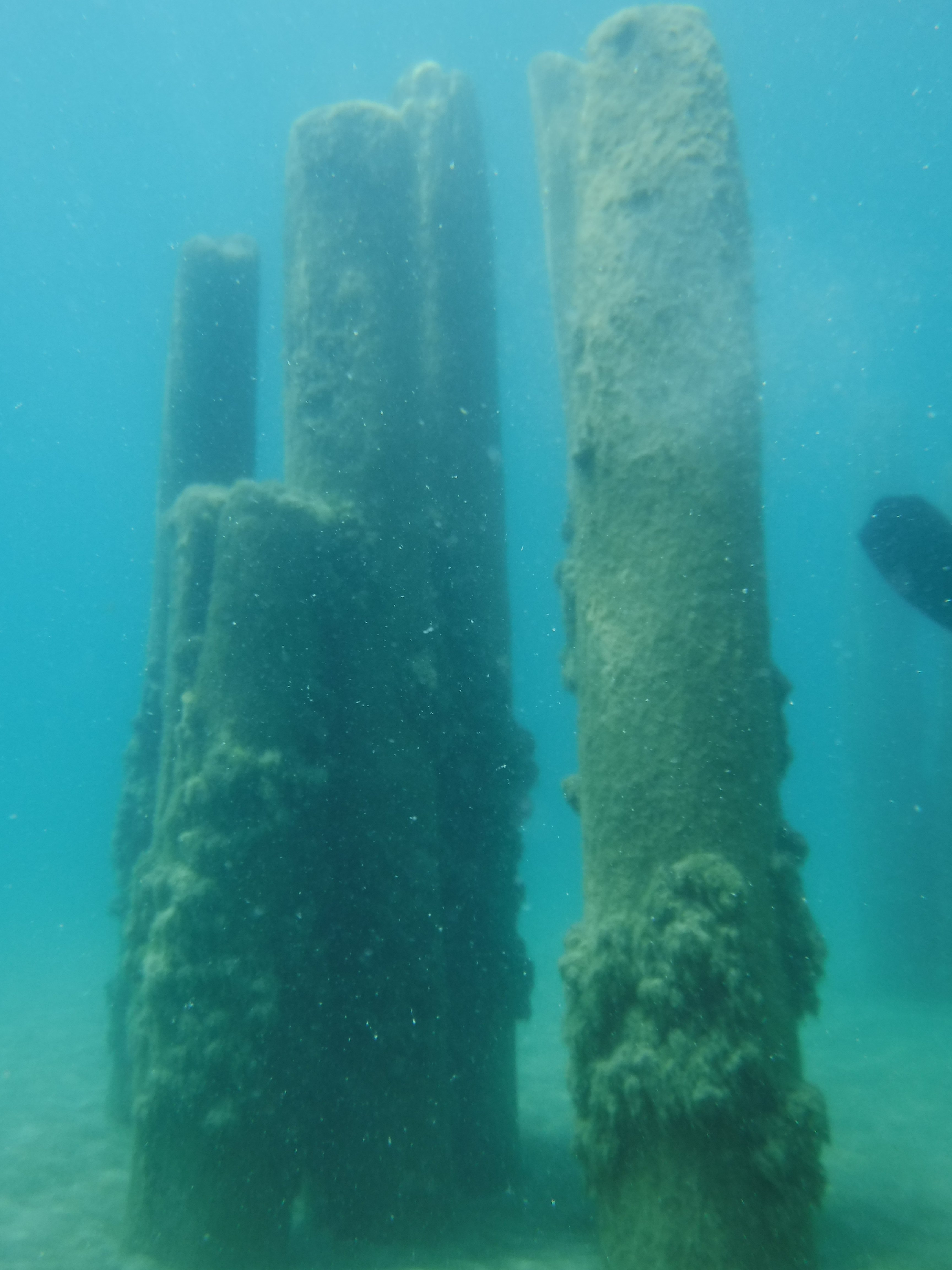 Old Pier Pilings 03 - June Elk Rapids, M