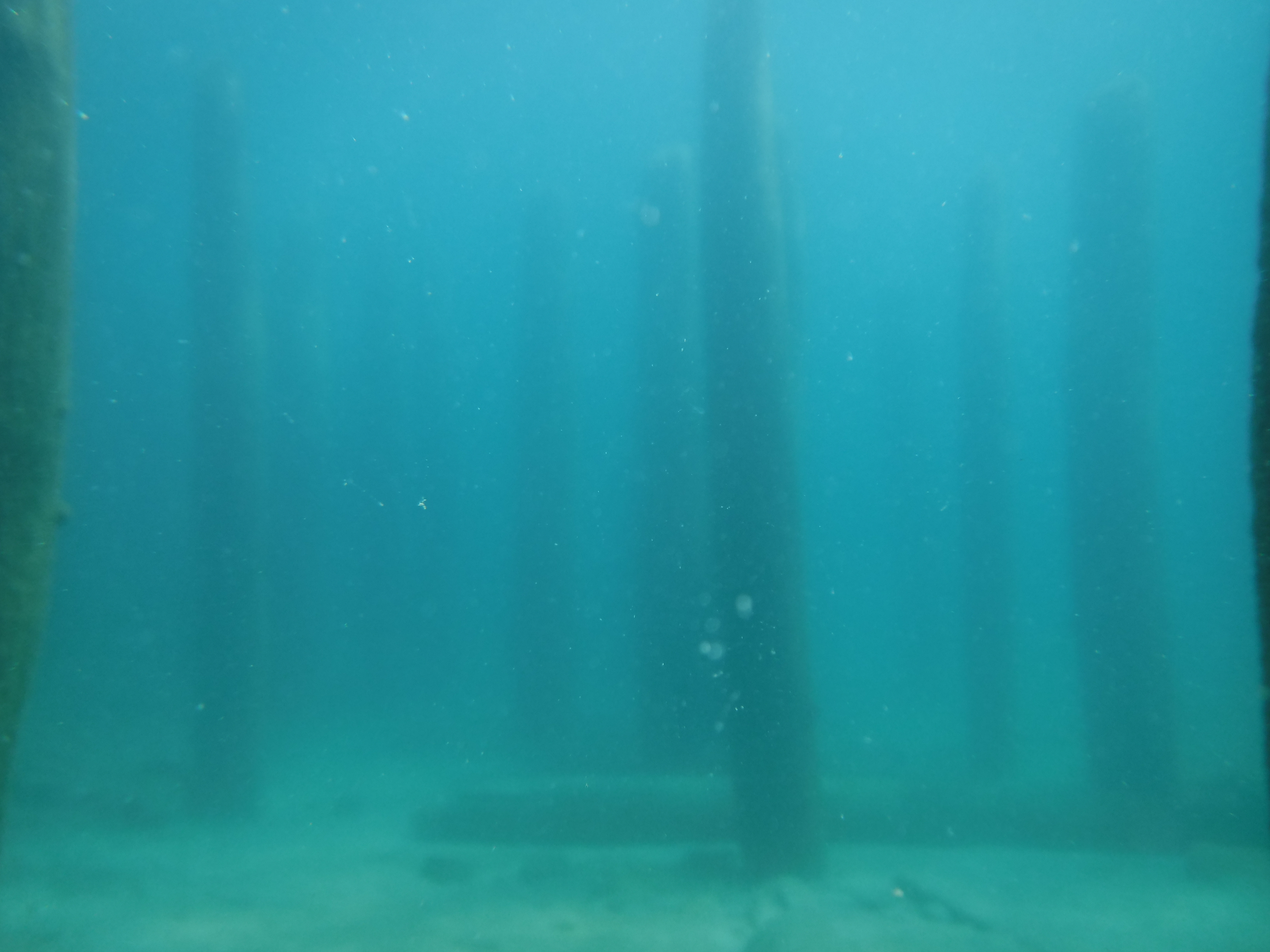 Old Pier Pilings 04 - June Elk Rapids, M