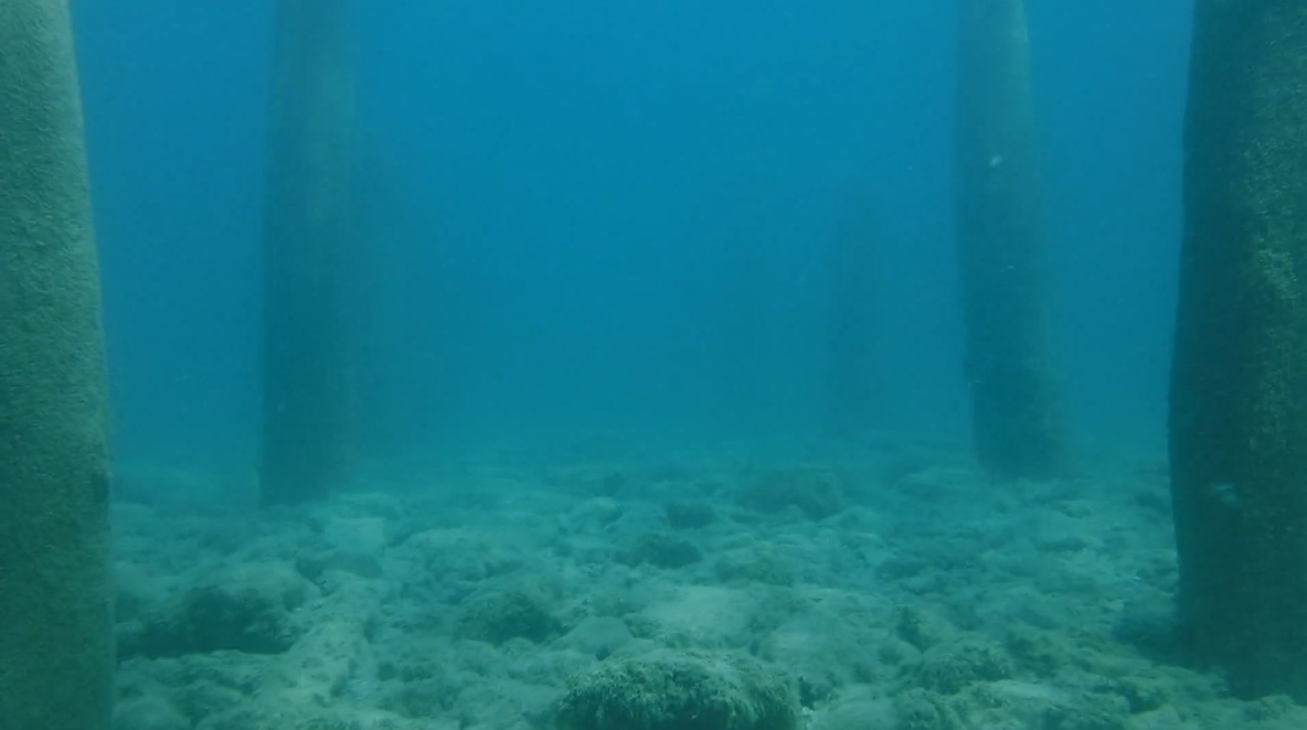 Old Pier Pilings 05 - June Elk Rapids, M