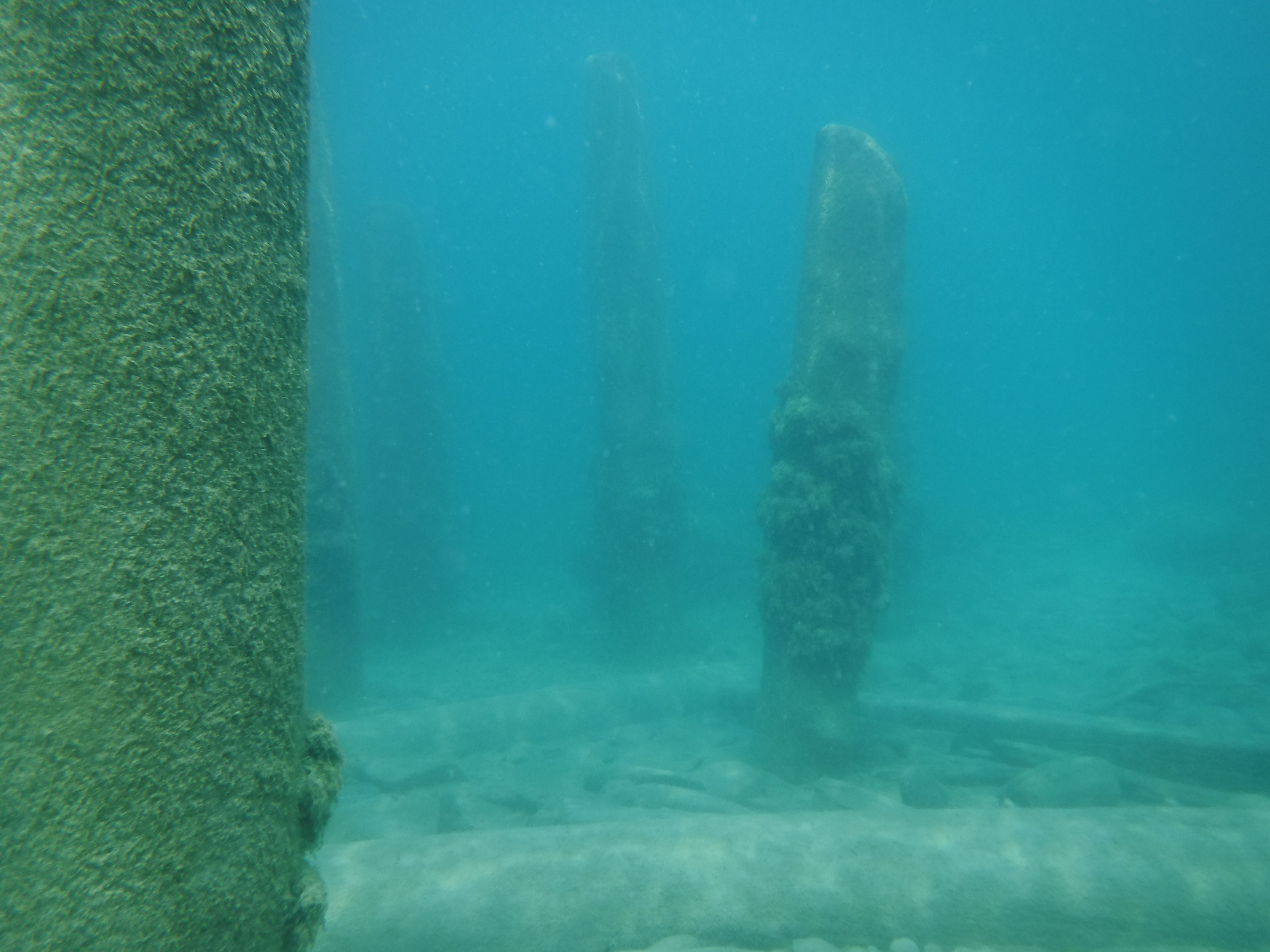Old Pier Pilings 06 - June Elk Rapids, M