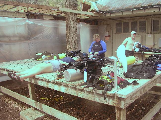 One fish, two fish, red fish, blue fish