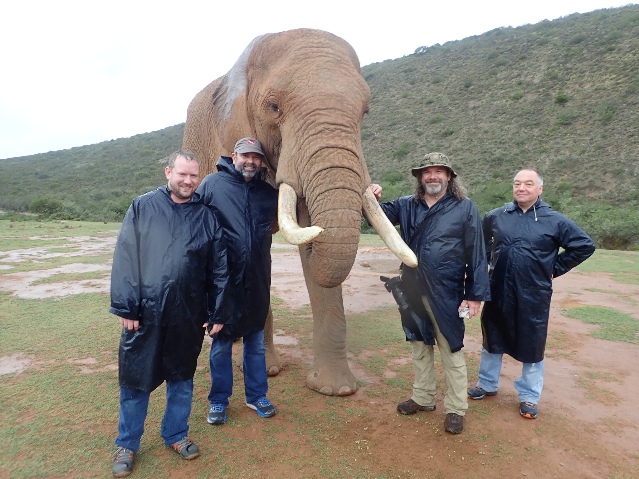 Our African friend