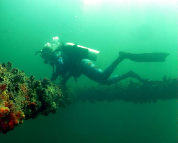 Our dive master