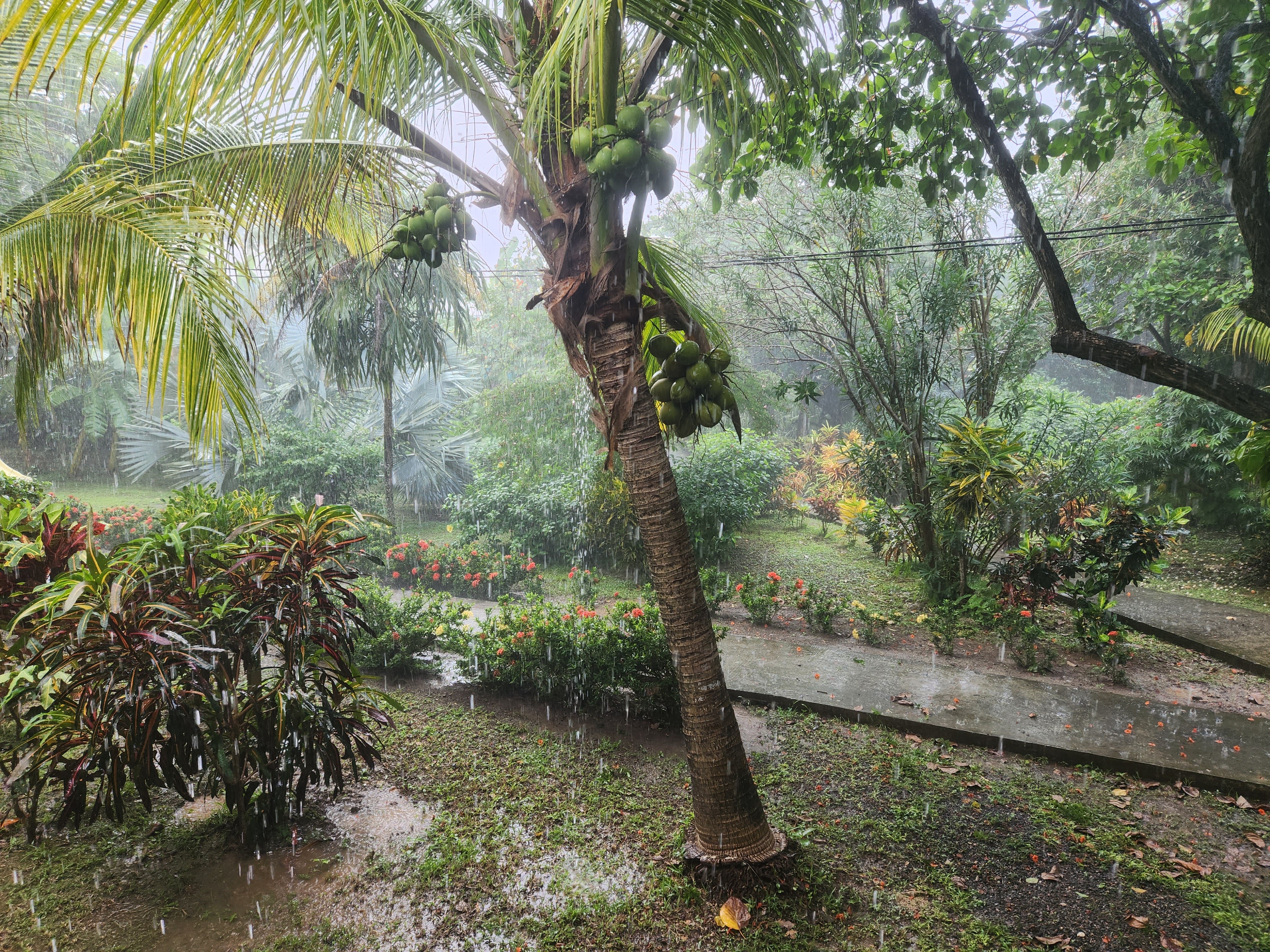 Our first Honduran rain storm