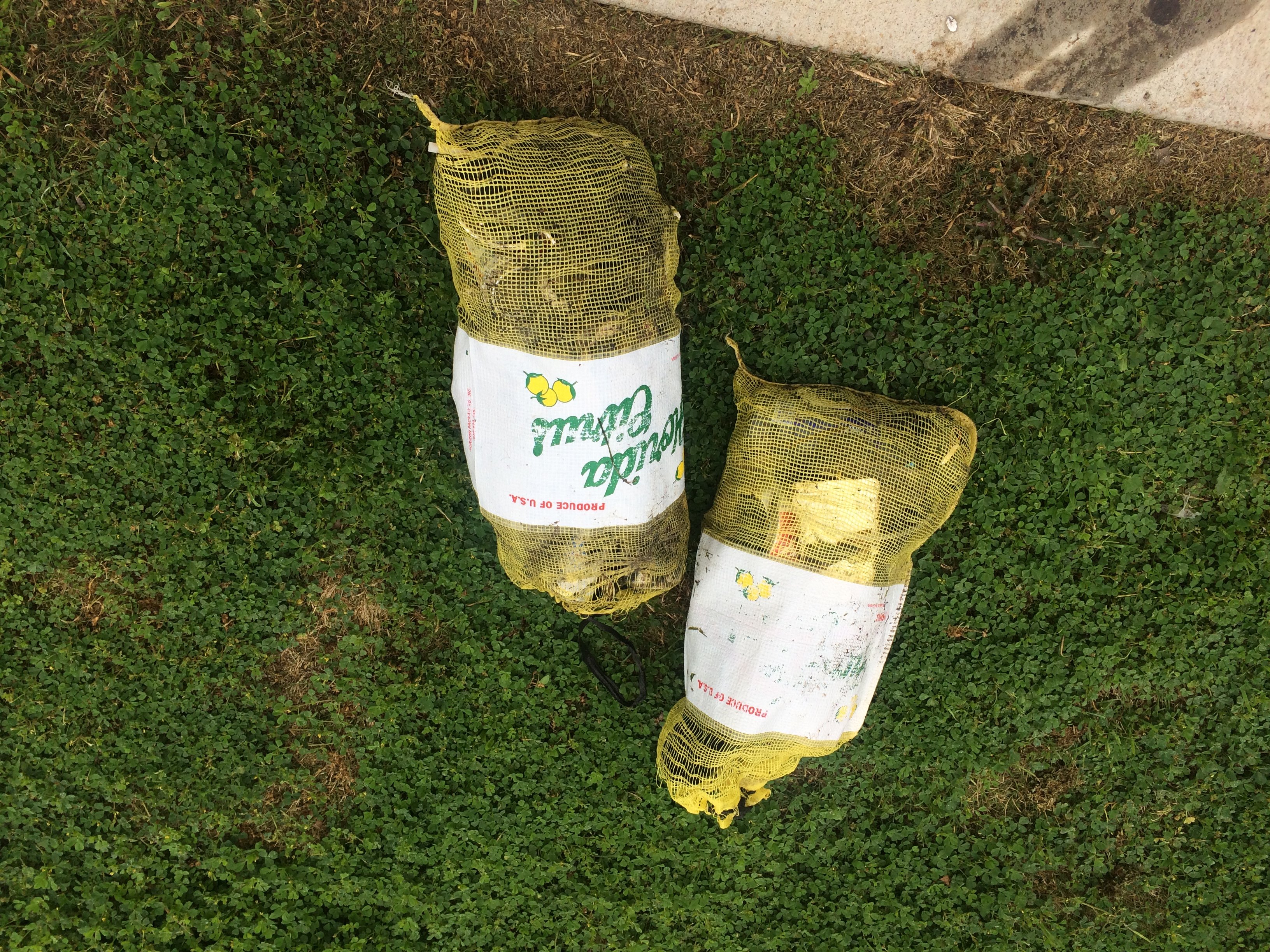 Our Two Stuffed 30 Pound Bags Of Trash