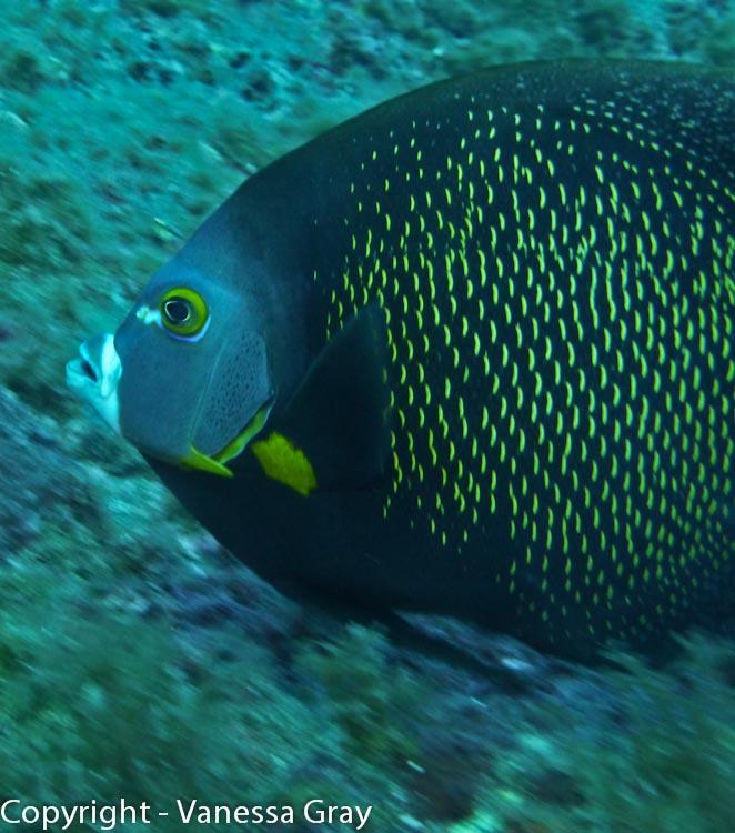 P1060435
