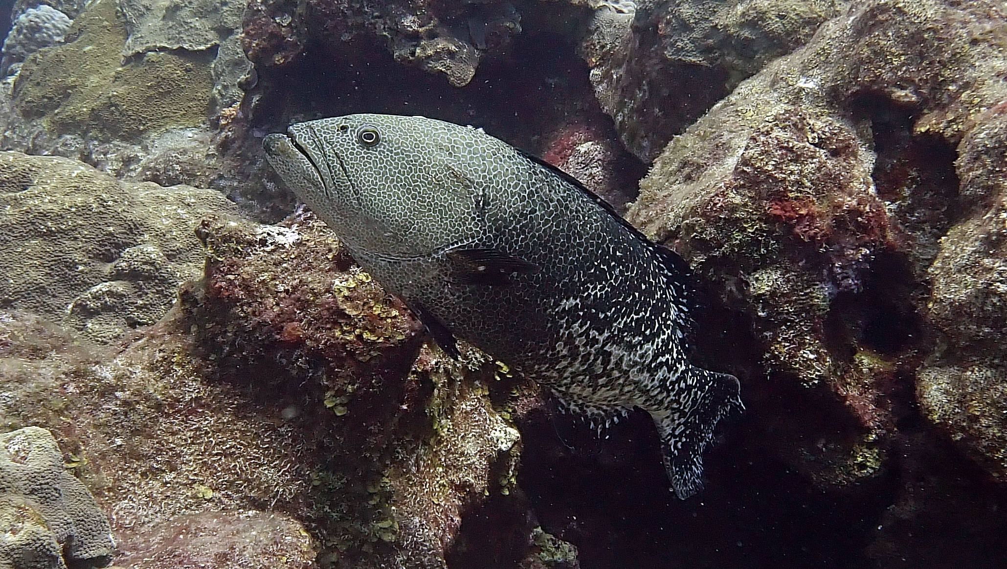 P5280092.JPG